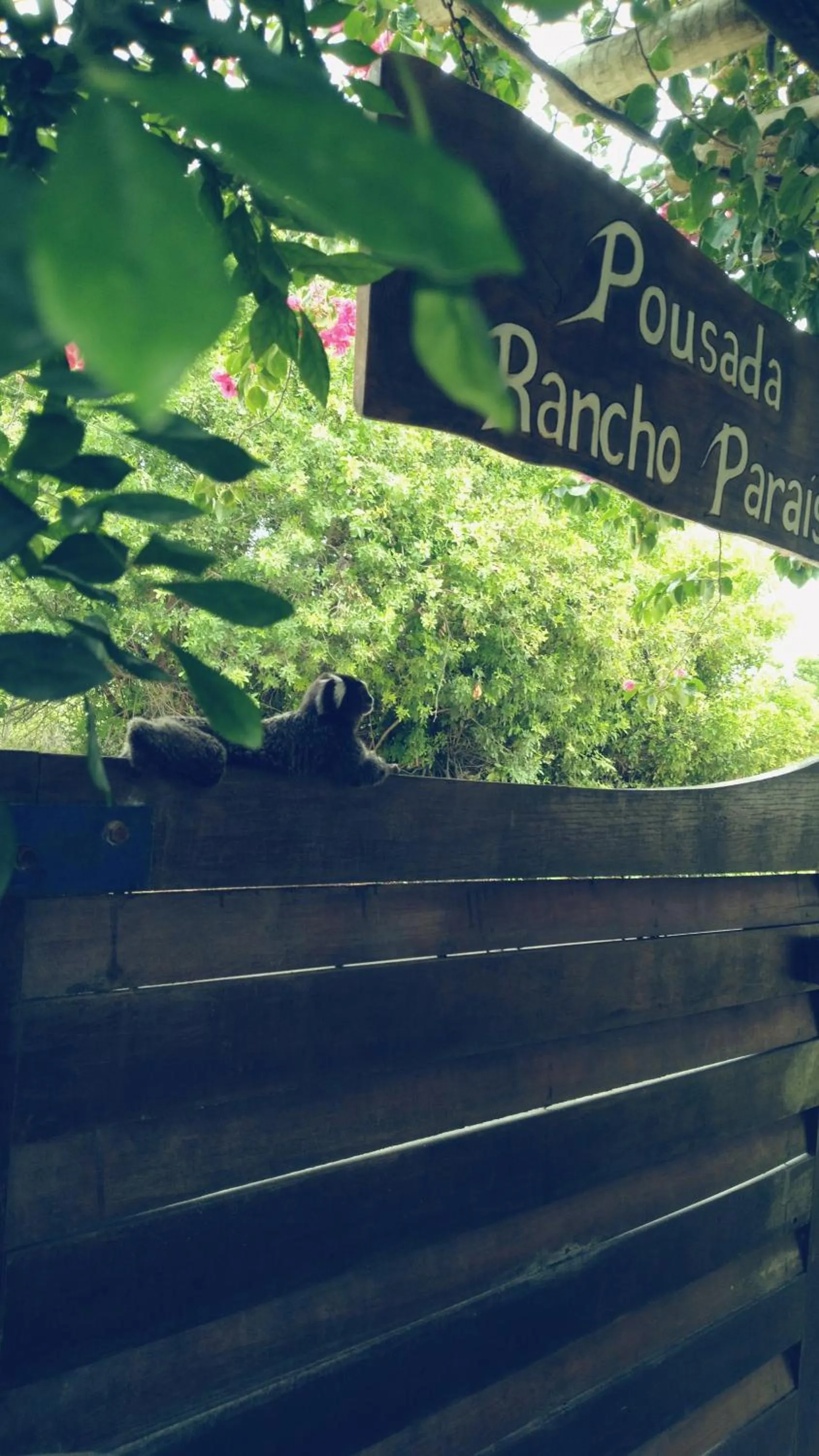 Spring in POUSADA RANCHO PARAISO