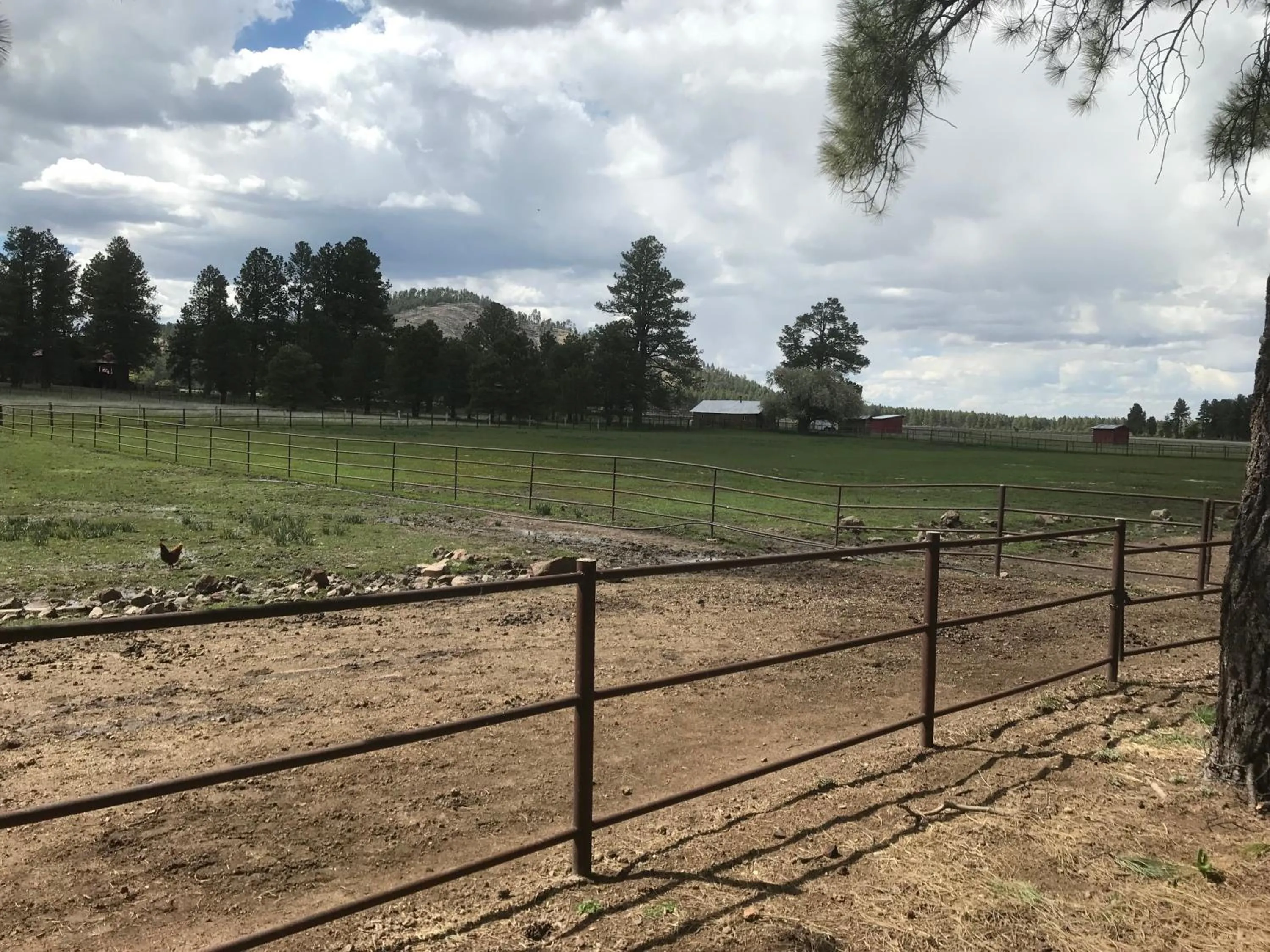 Natural landscape in Grand Canyon Cottage at Historic Wrigley Ranch with Horseback Riding & Hiking