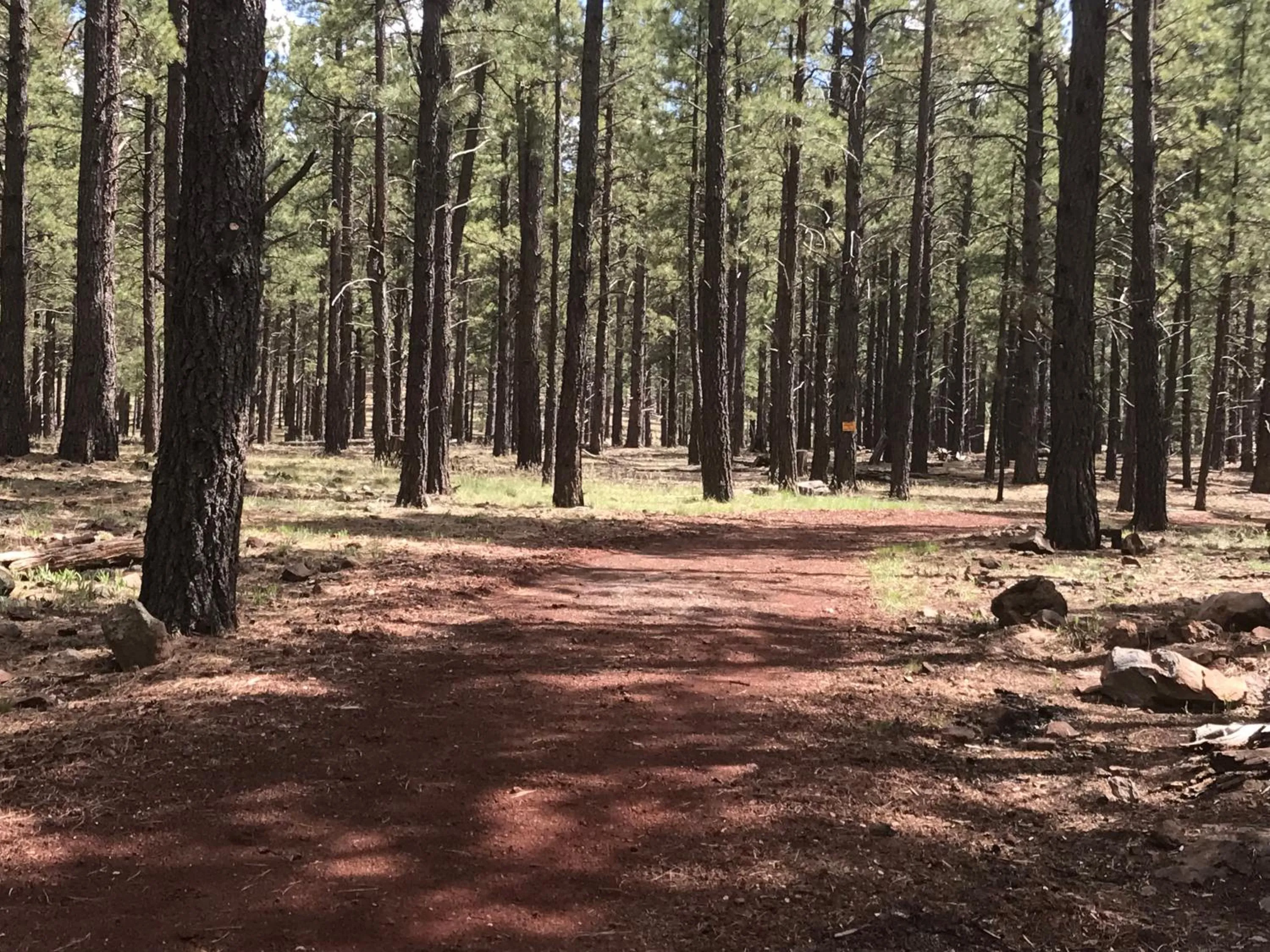 Natural landscape in Grand Canyon Cottage at Historic Wrigley Ranch with Horseback Riding & Hiking