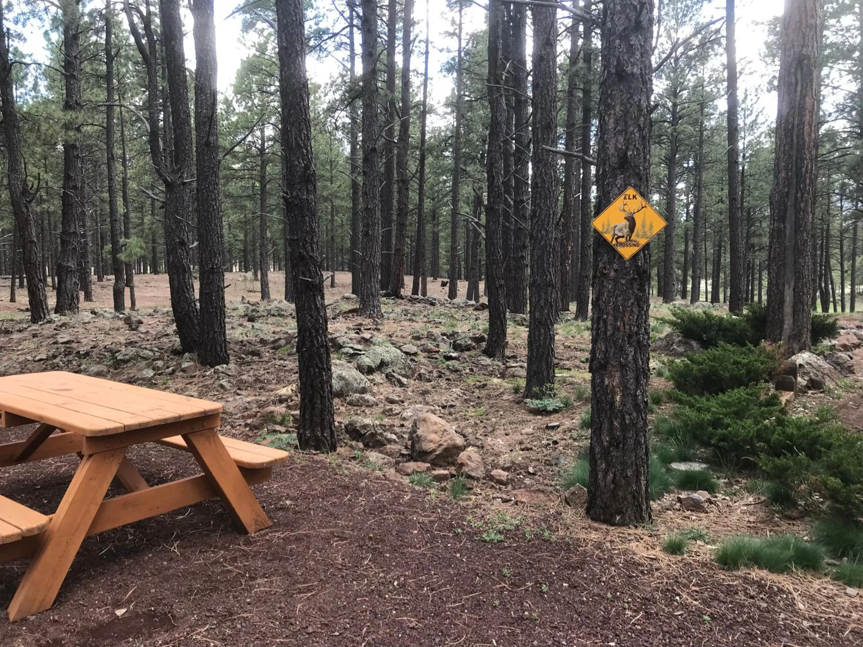 BBQ facilities in Grand Canyon Cottage at Historic Wrigley Ranch with Horseback Riding & Hiking