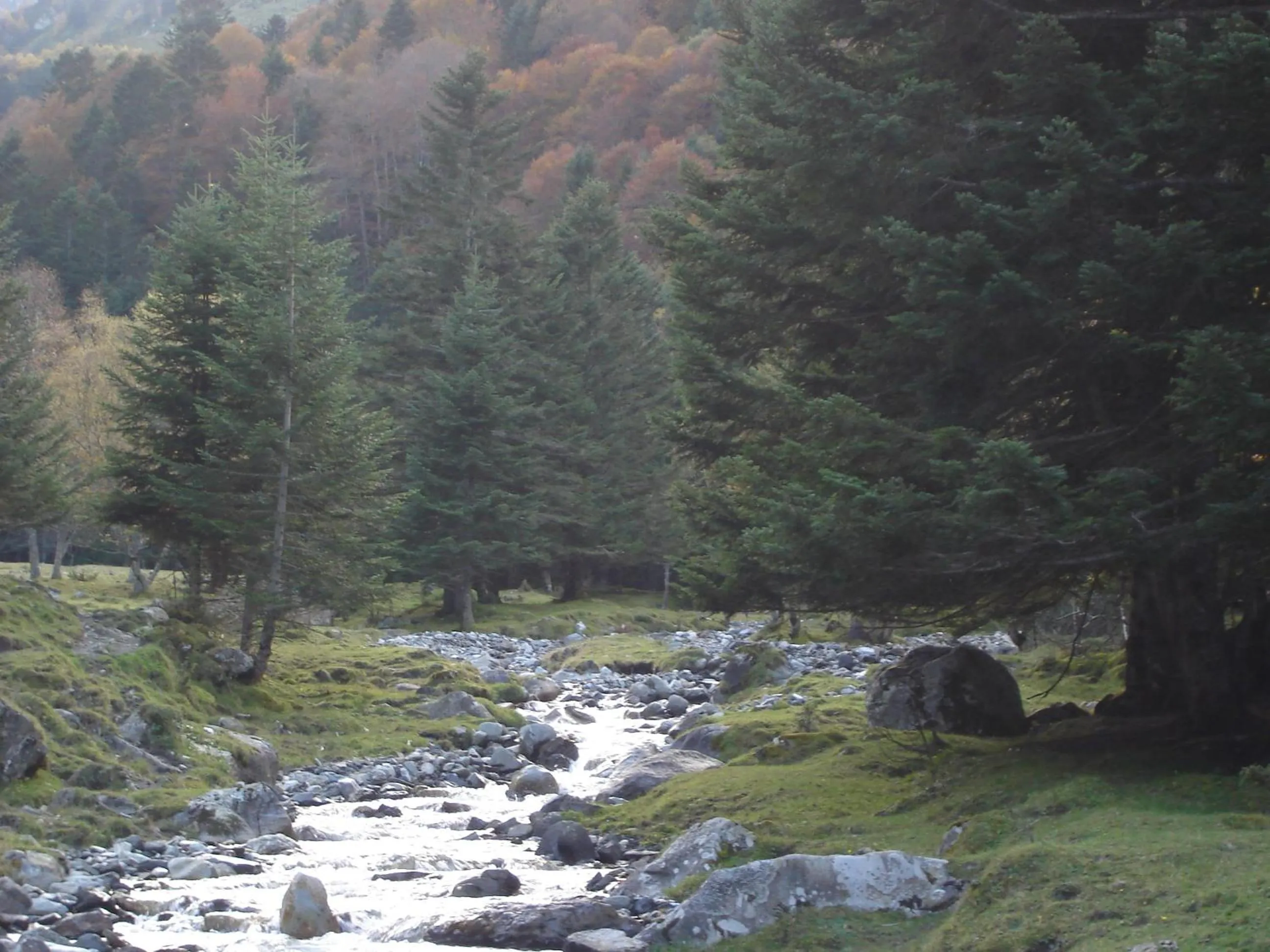 Natural landscape in Gite Auberge Les Cascades