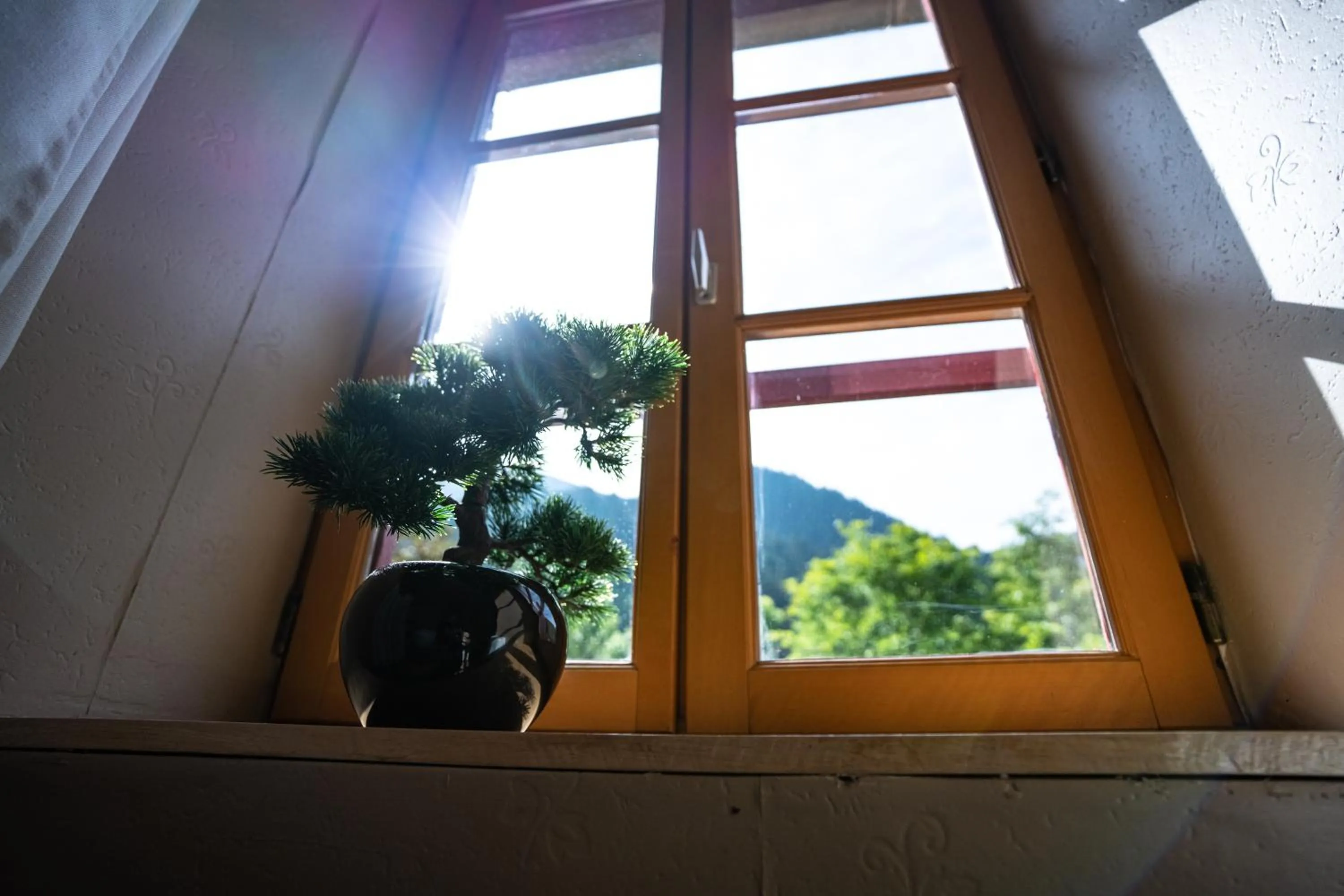 Natural landscape in Gite Auberge Les Cascades