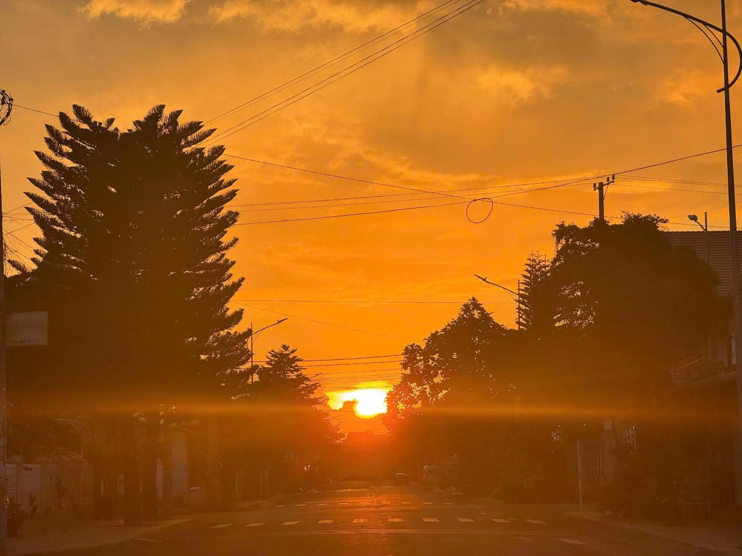 Natural landscape in Hoàng Anh hotel