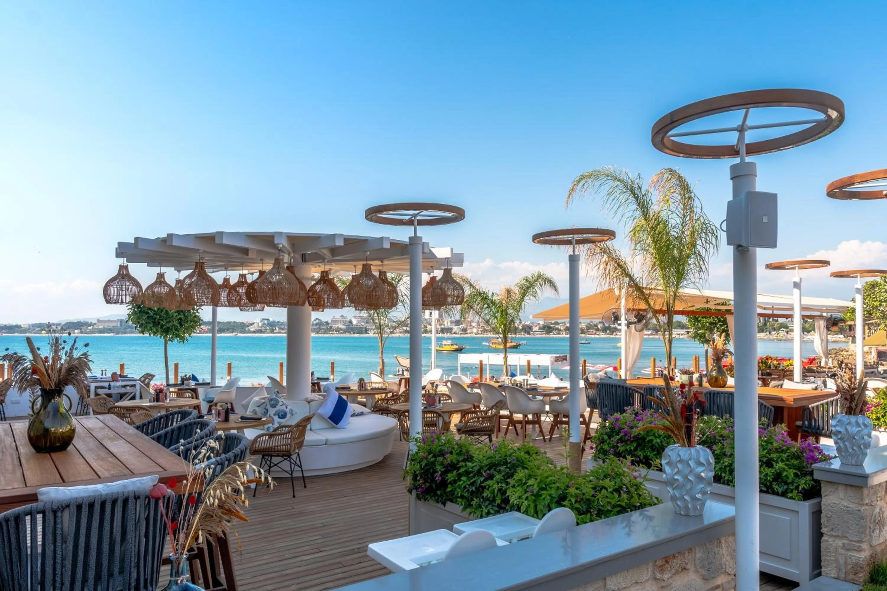 Garden in Carpe Diem Boutique Hotel - Adults Only