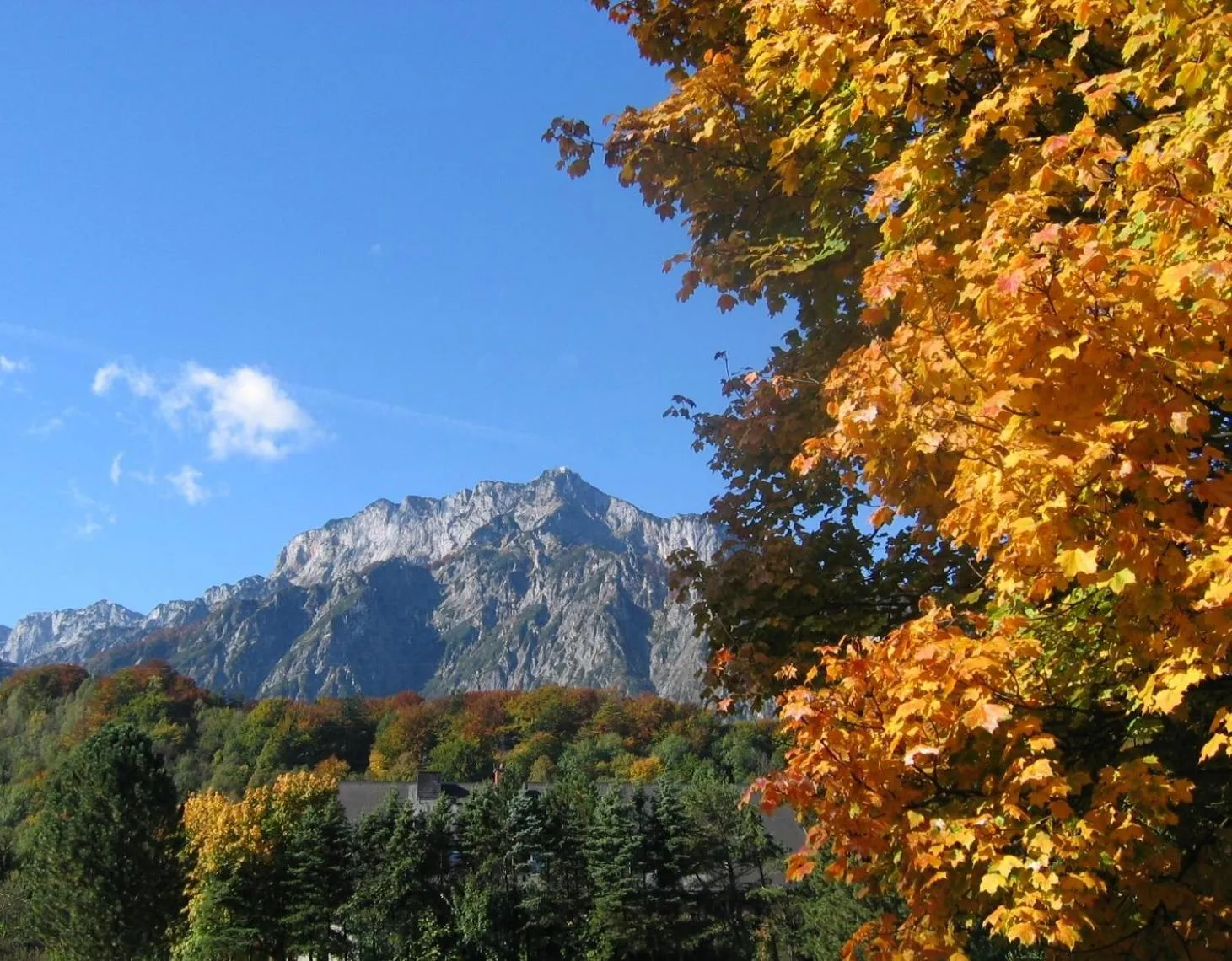 Natural landscape in Hotel Kaiserhof