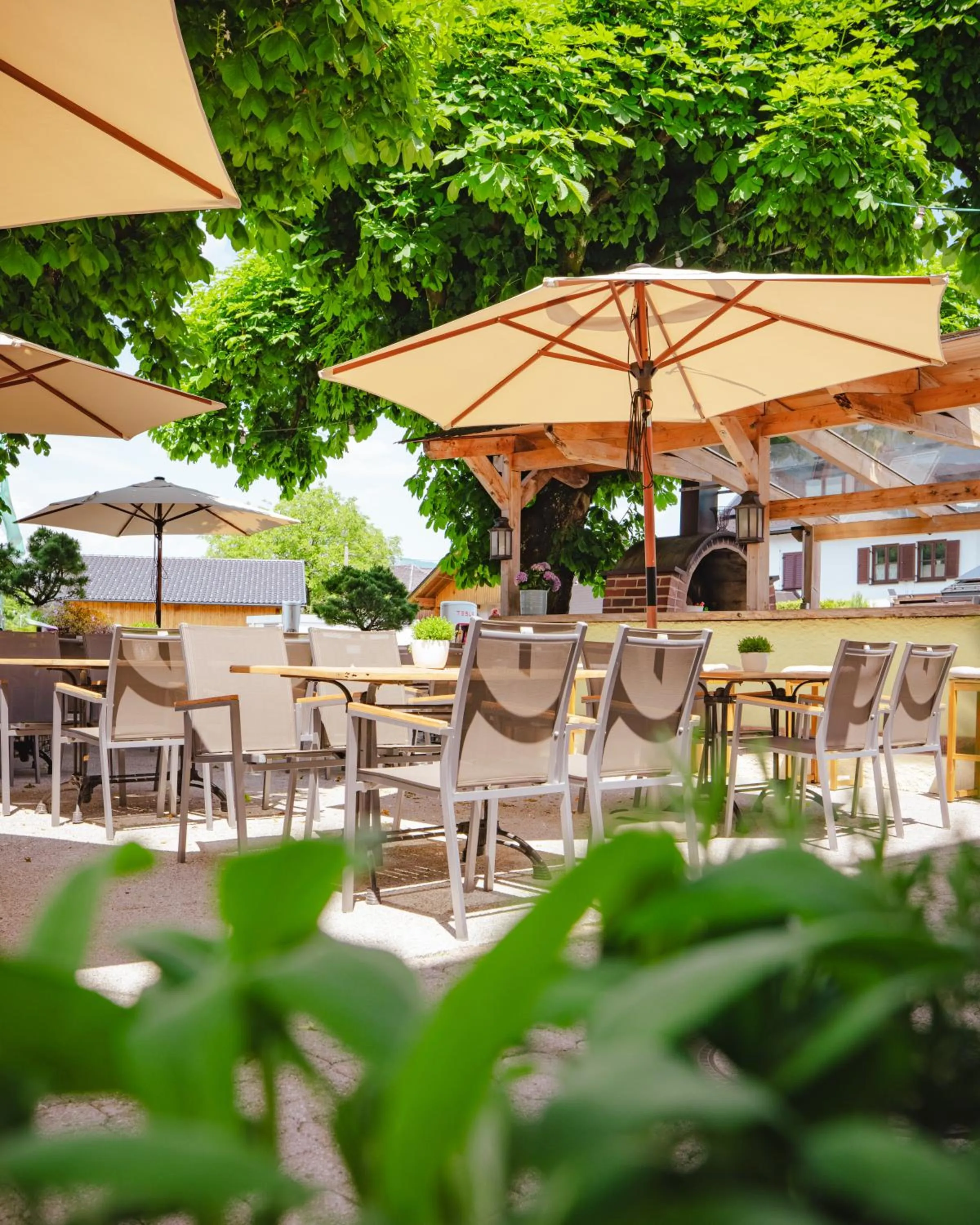 Restaurant/places to eat in Hotel Kaiserhof