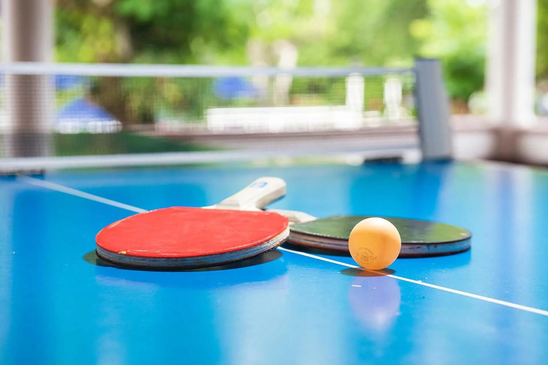 Table tennis in Hotel Posada San Sebastian
