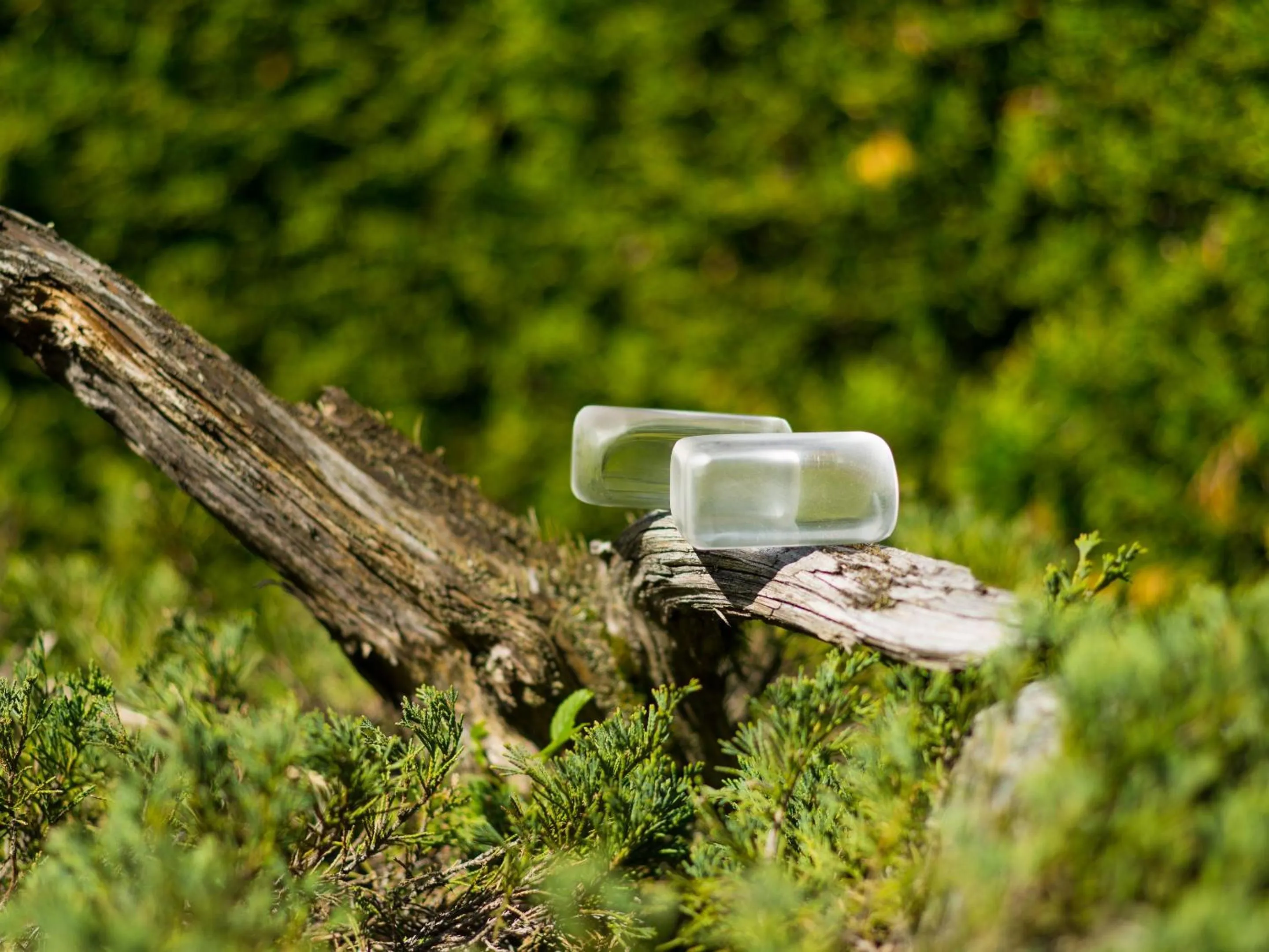 Spa and wellness centre/facilities in Hotel Alpenblick