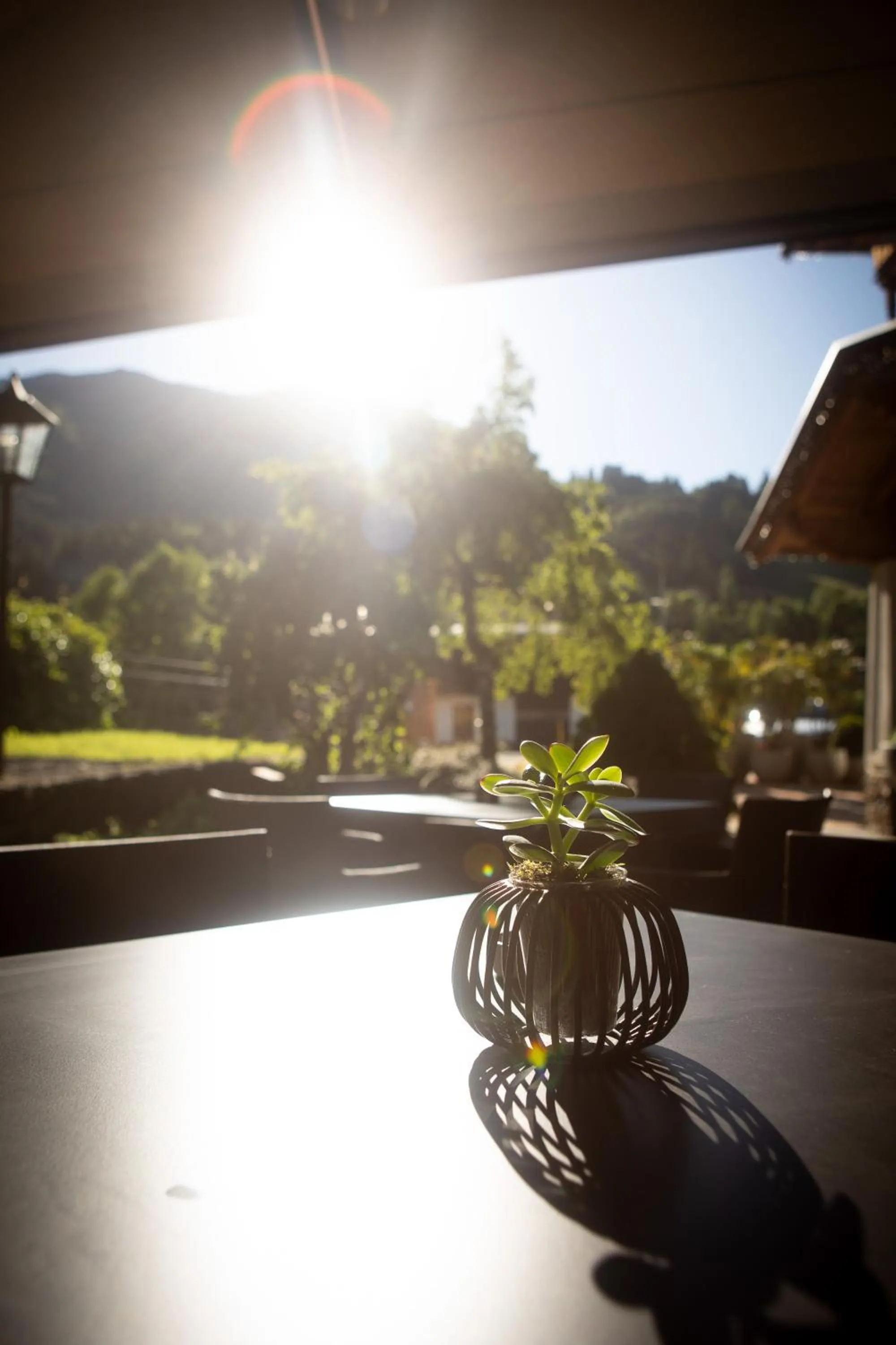 Balcony/Terrace in Hotel Elisabeth, 4 Sterne Superior