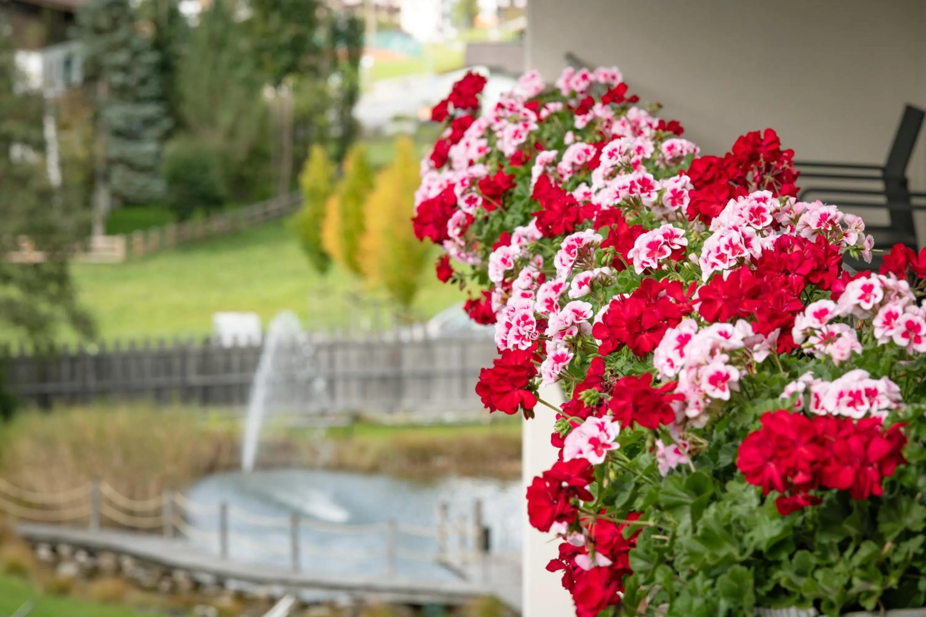Garden in Hotel Elisabeth, 4 Sterne Superior
