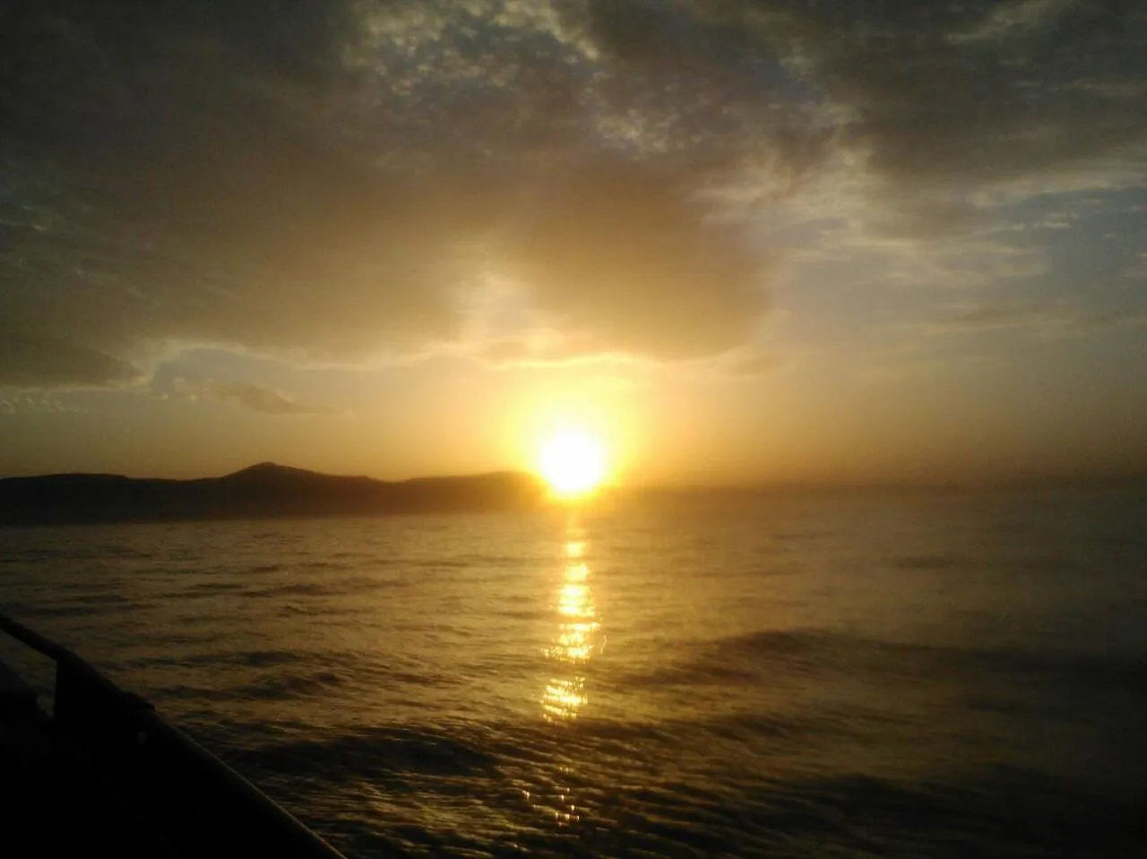 Animals in Hotel Leyton