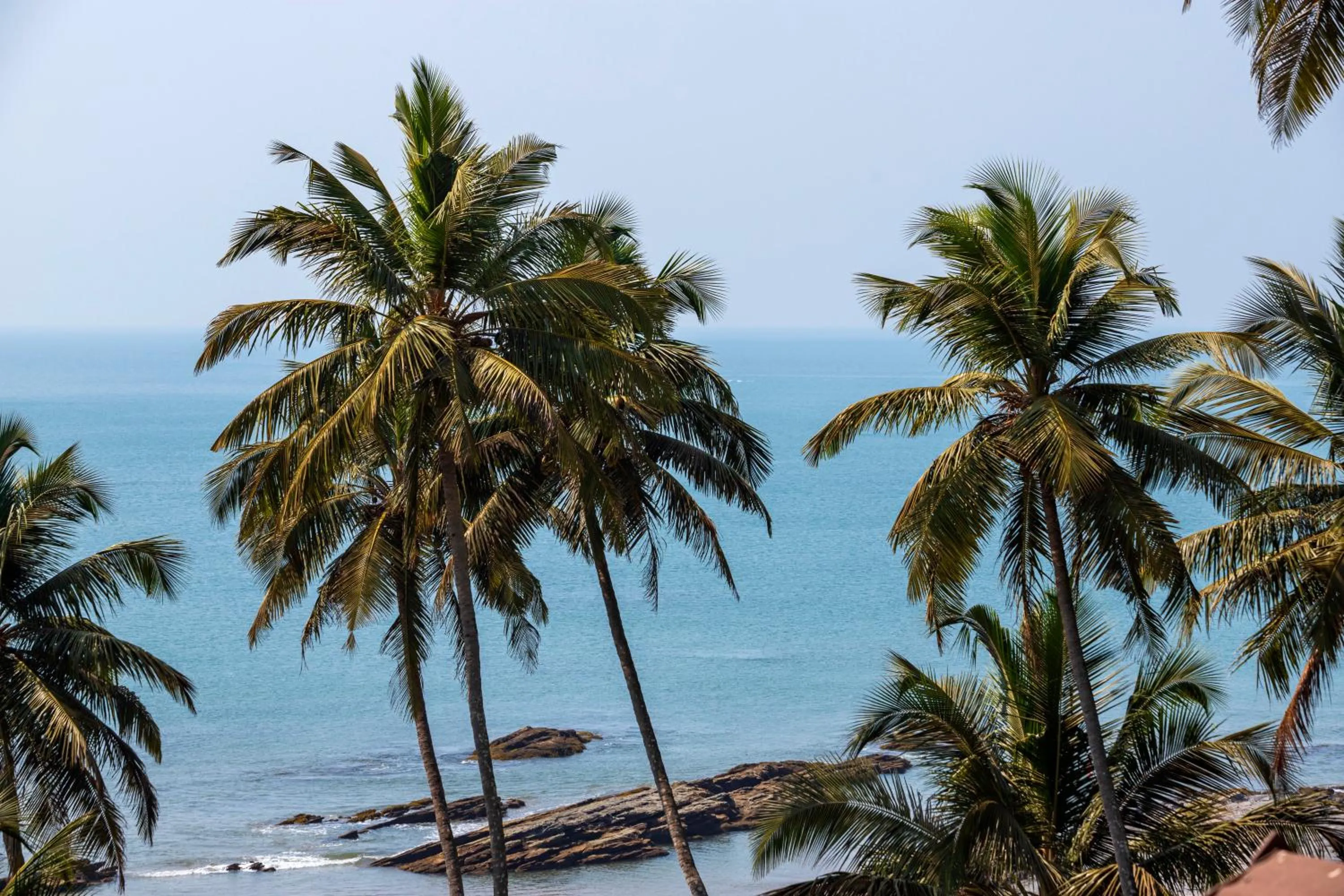 Day in Stone Wood Beach Resort, Vagator