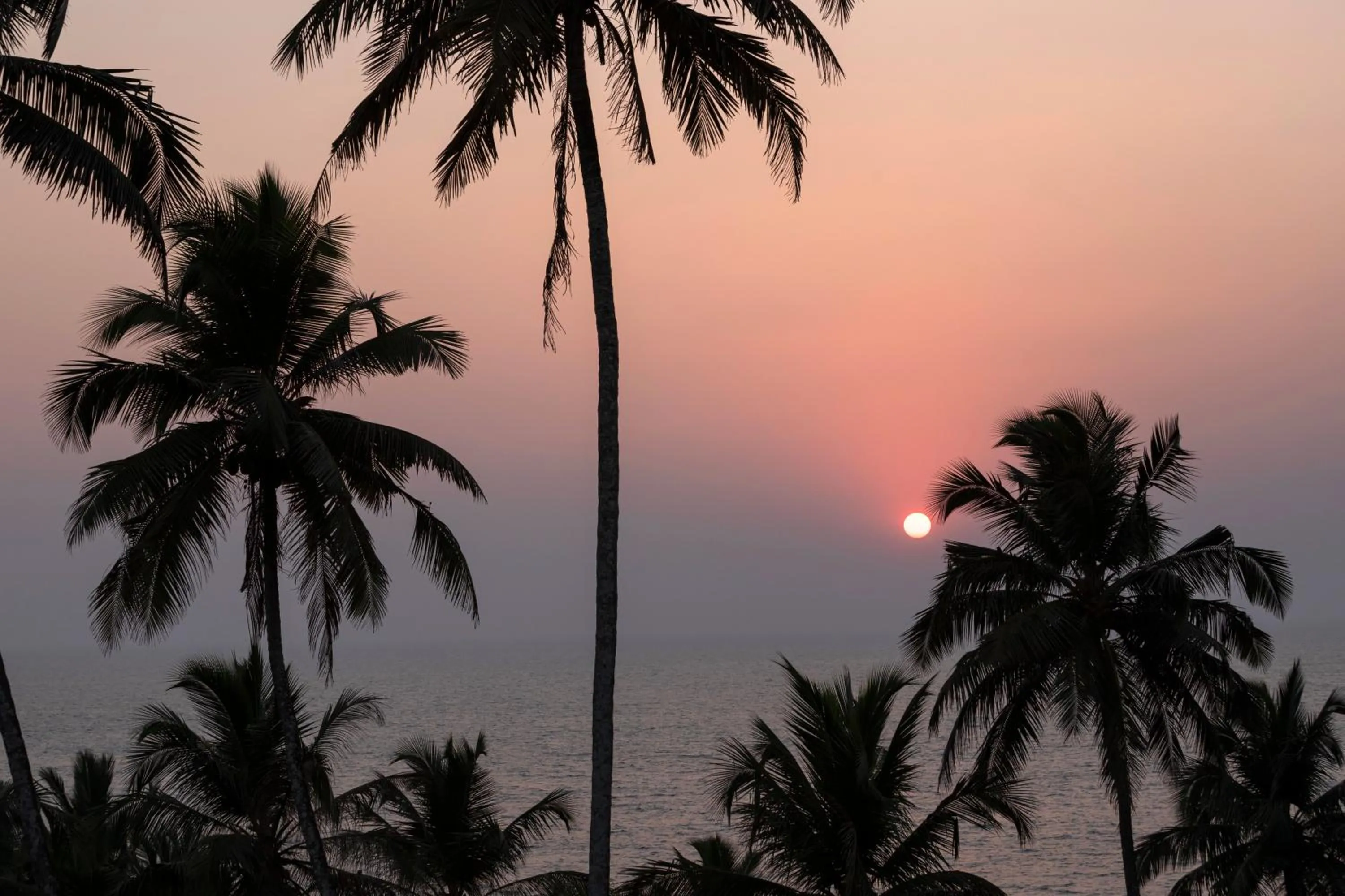 Sunset in Stone Wood Beach Resort, Vagator