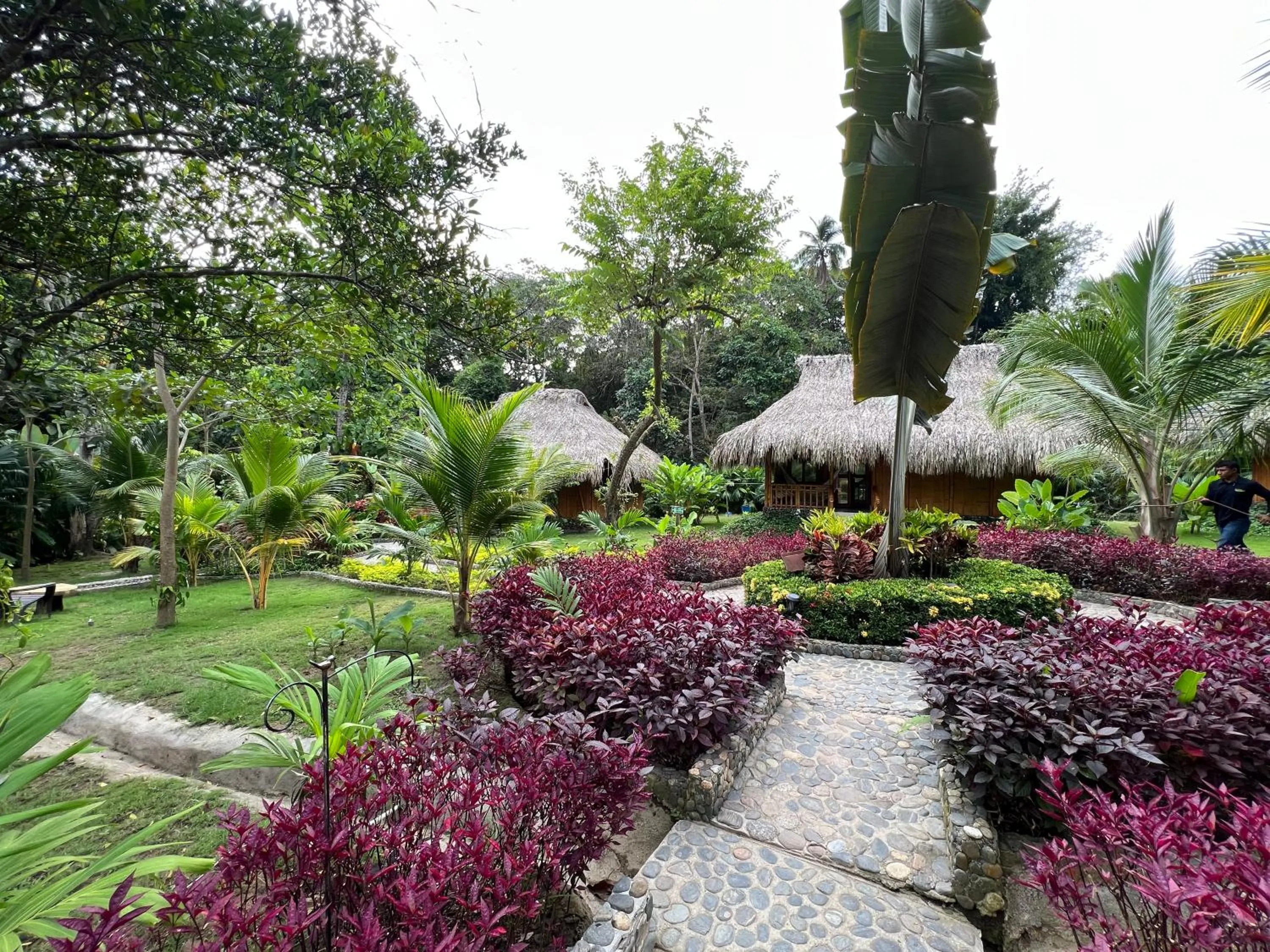 Natural landscape, Garden in Ecohabs Bamboo Tayrona - dentro del Parque Tayrona