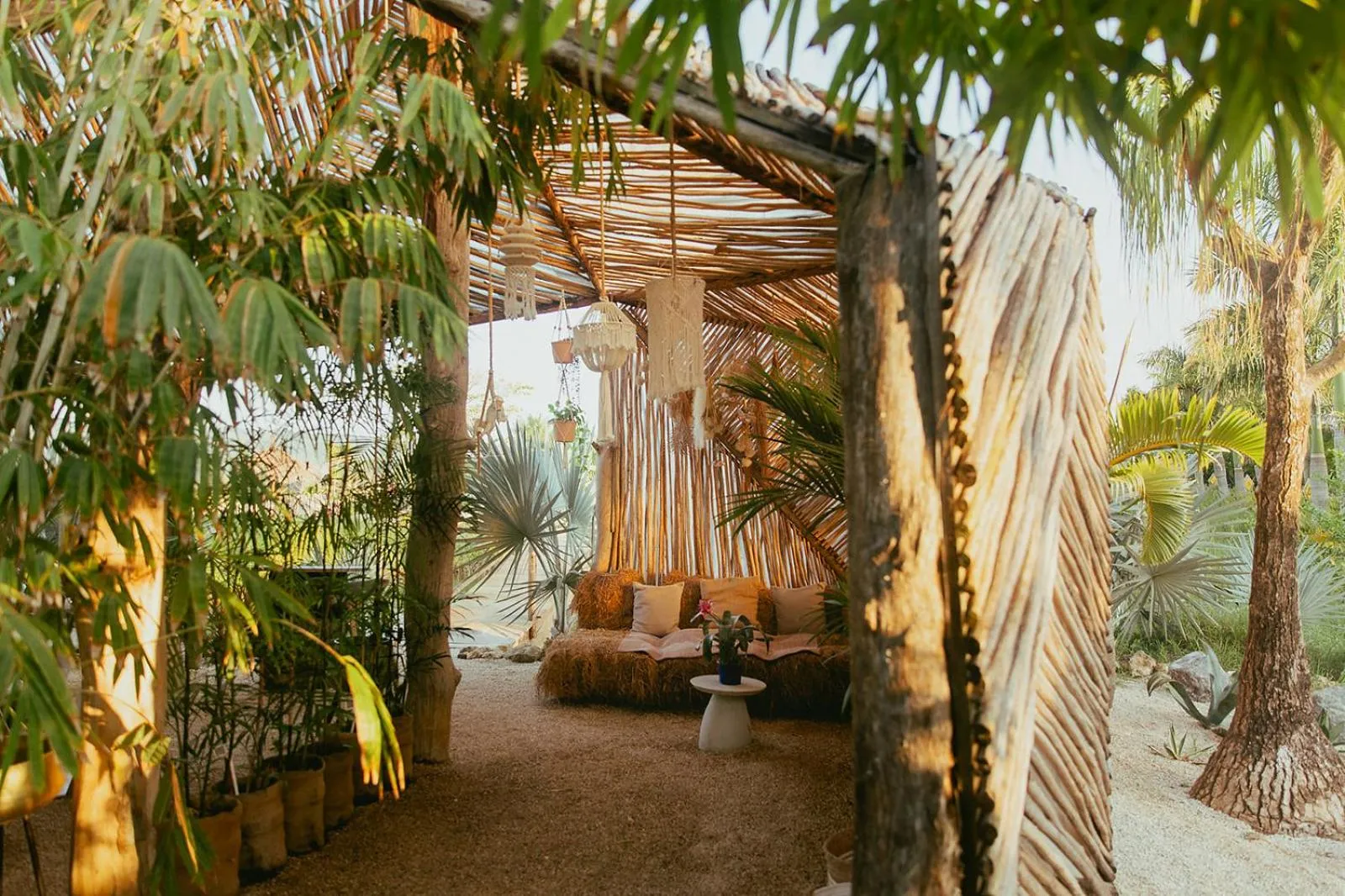 Garden in Green Land Bubble Glamping