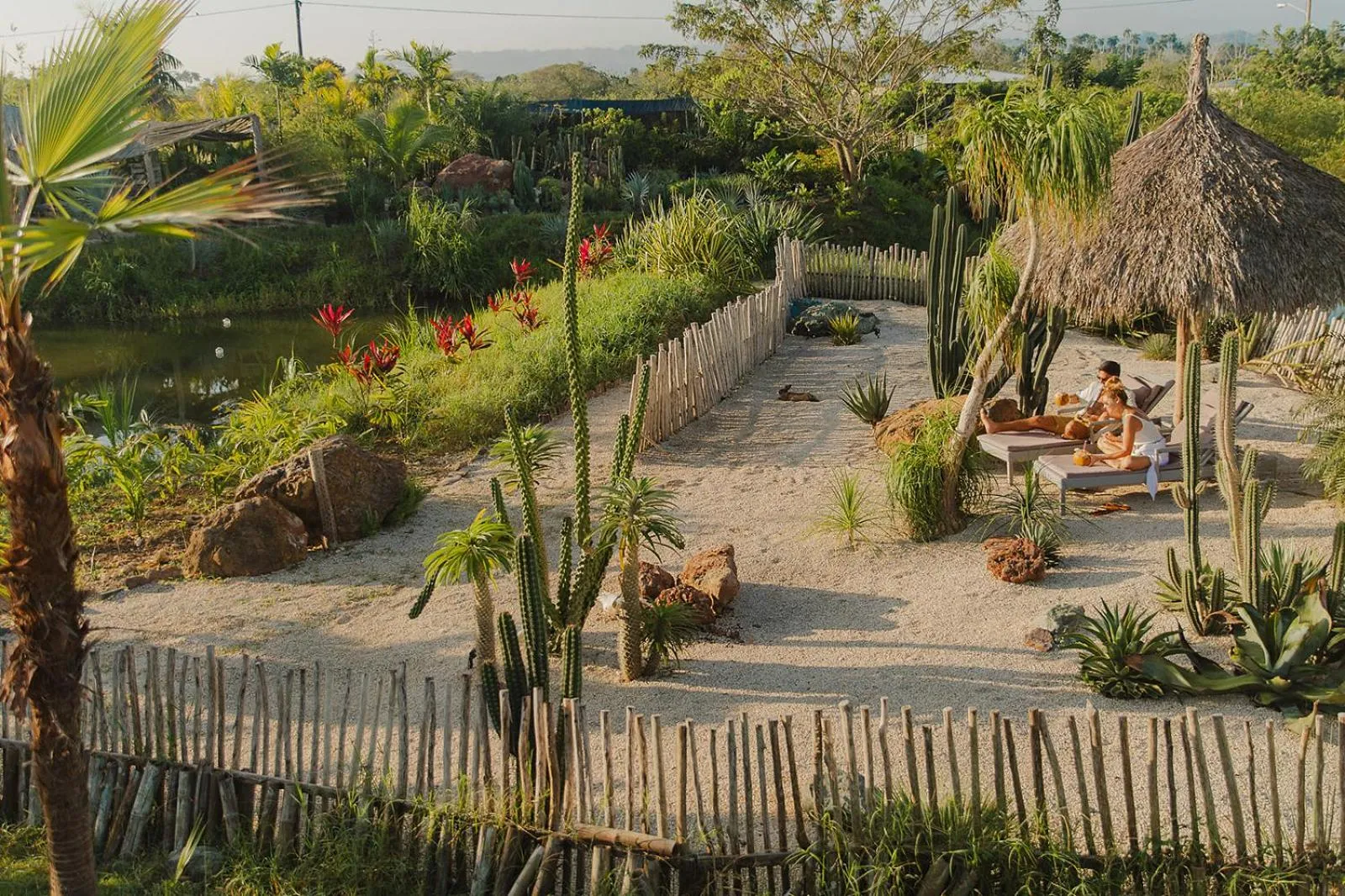 Garden in Green Land Bubble Glamping