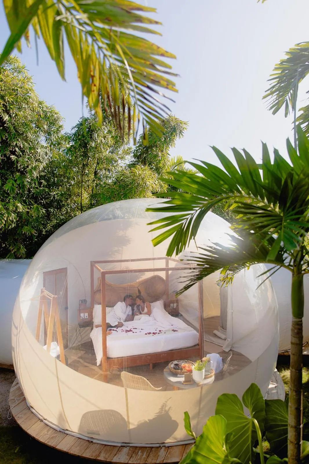 Bedroom in Green Land Bubble Glamping