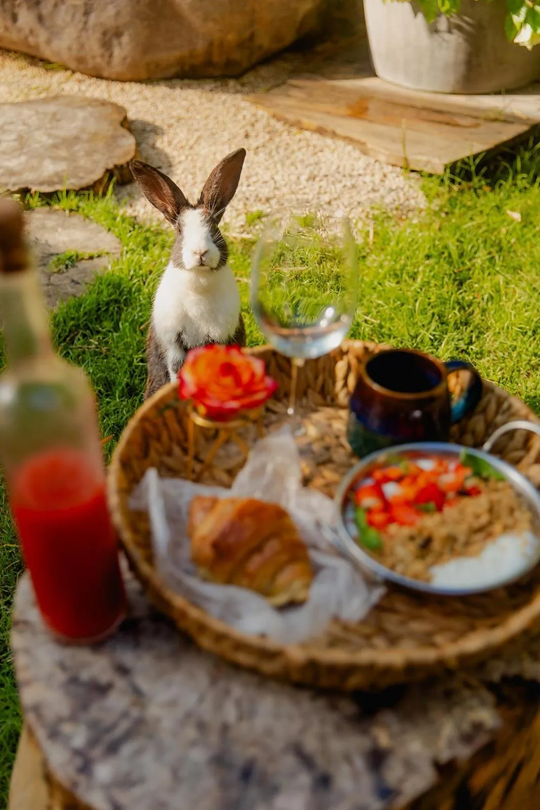 Breakfast in Green Land Bubble Glamping