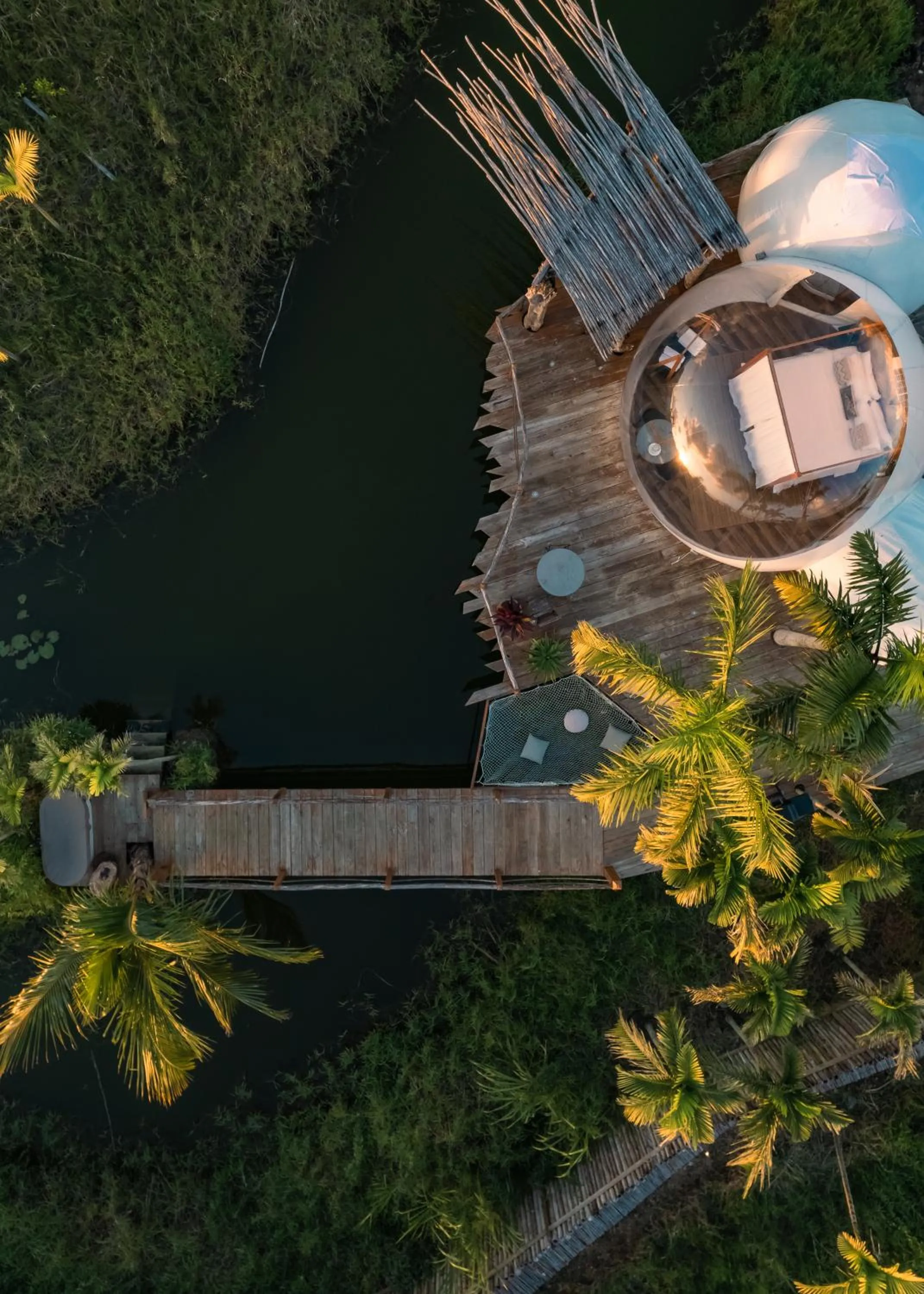 Garden view in Green Land Bubble Glamping