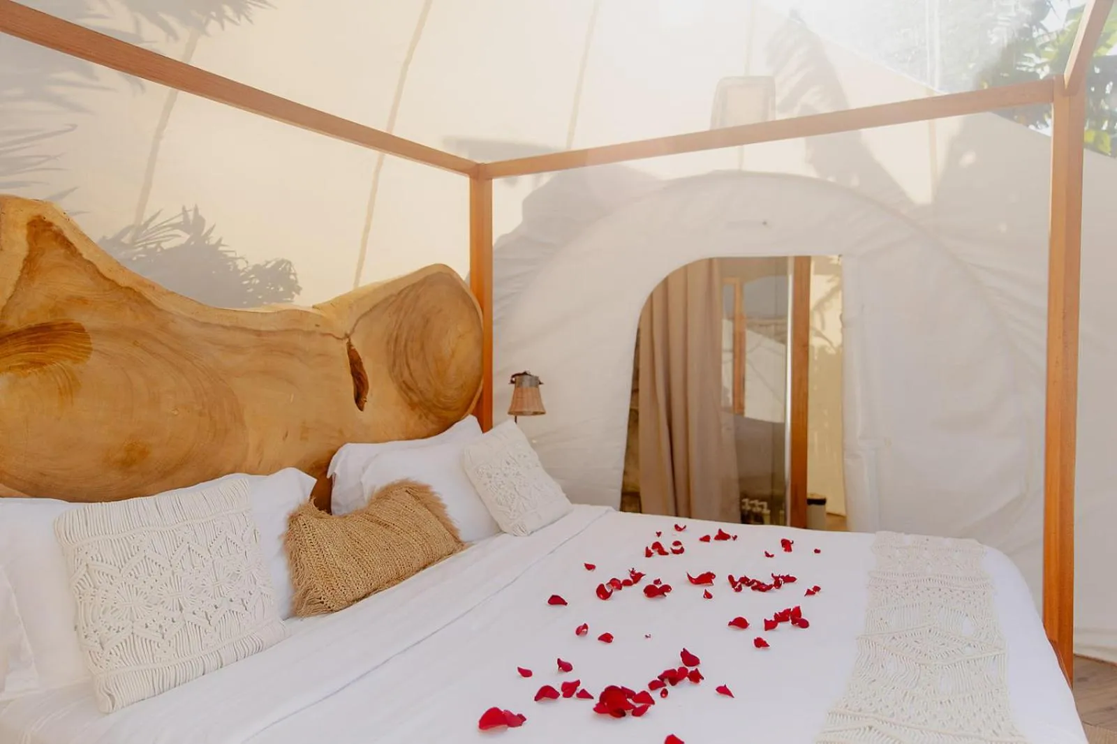 Bed in Green Land Bubble Glamping