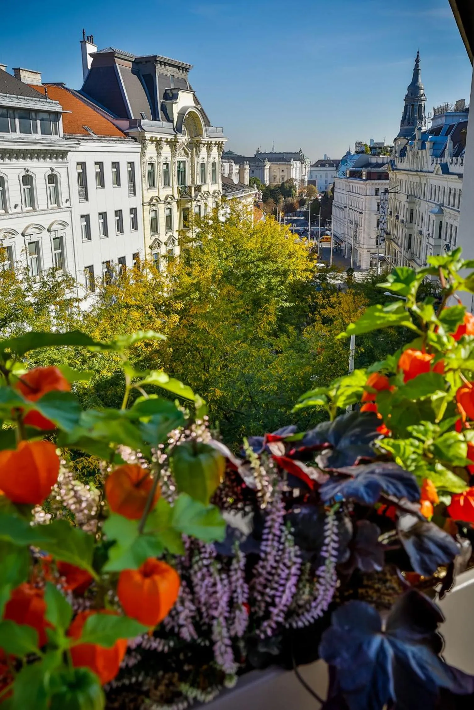 City view in Boutiquehotel Das Tyrol