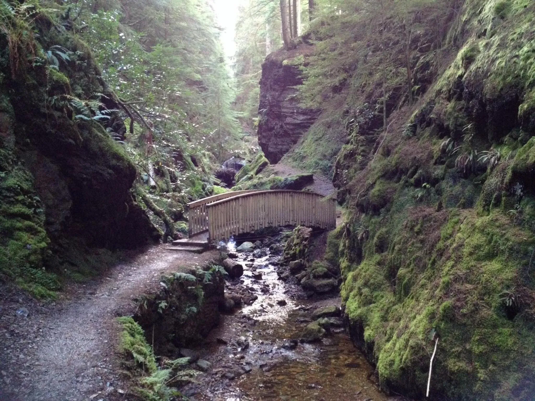 Other in Rashfield Sheilings - Riverside Lodges, by Pucks Glen, Dunoon