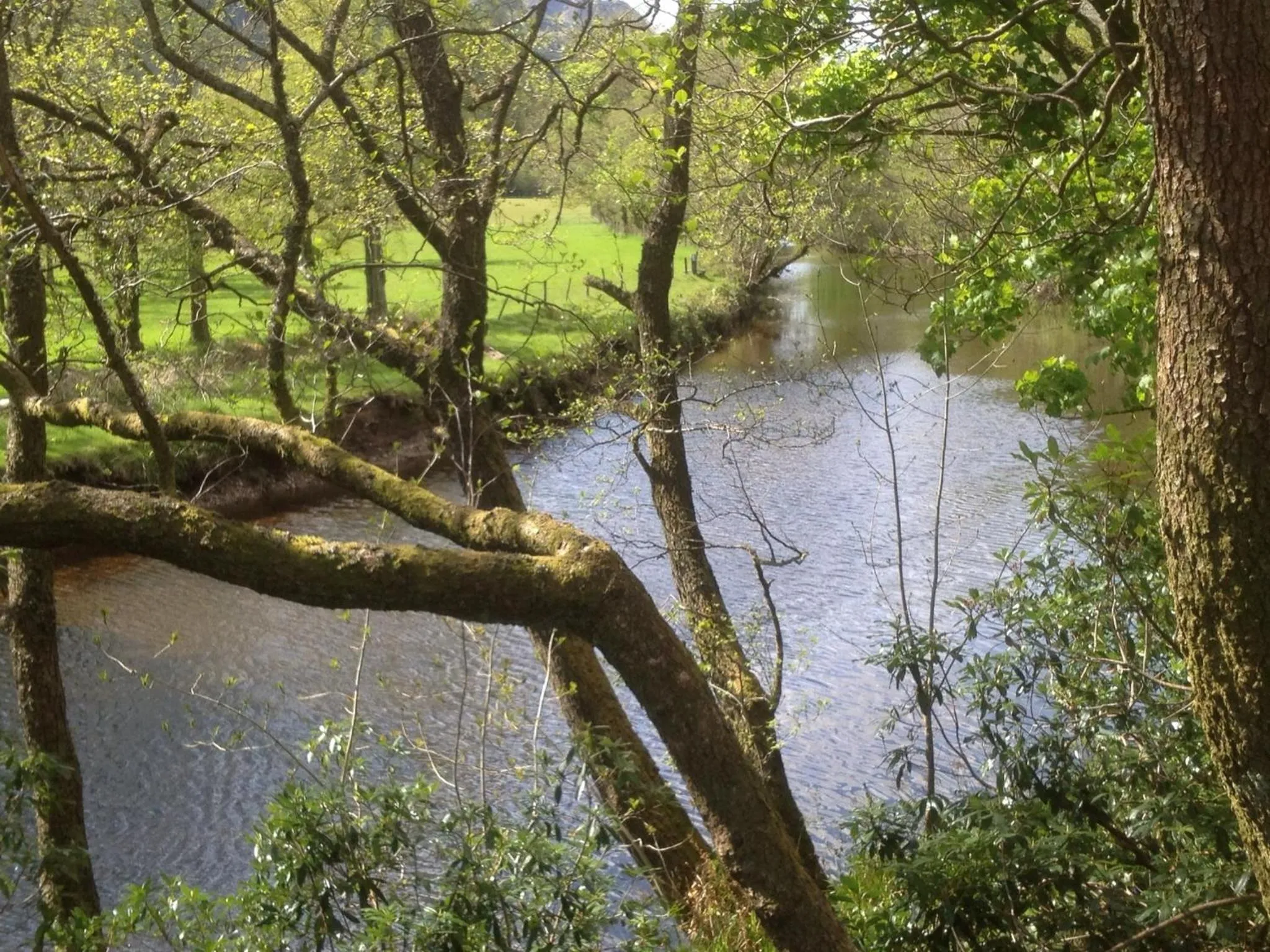 Area and facilities in Rashfield Sheilings - Riverside Lodges, by Pucks Glen, Dunoon