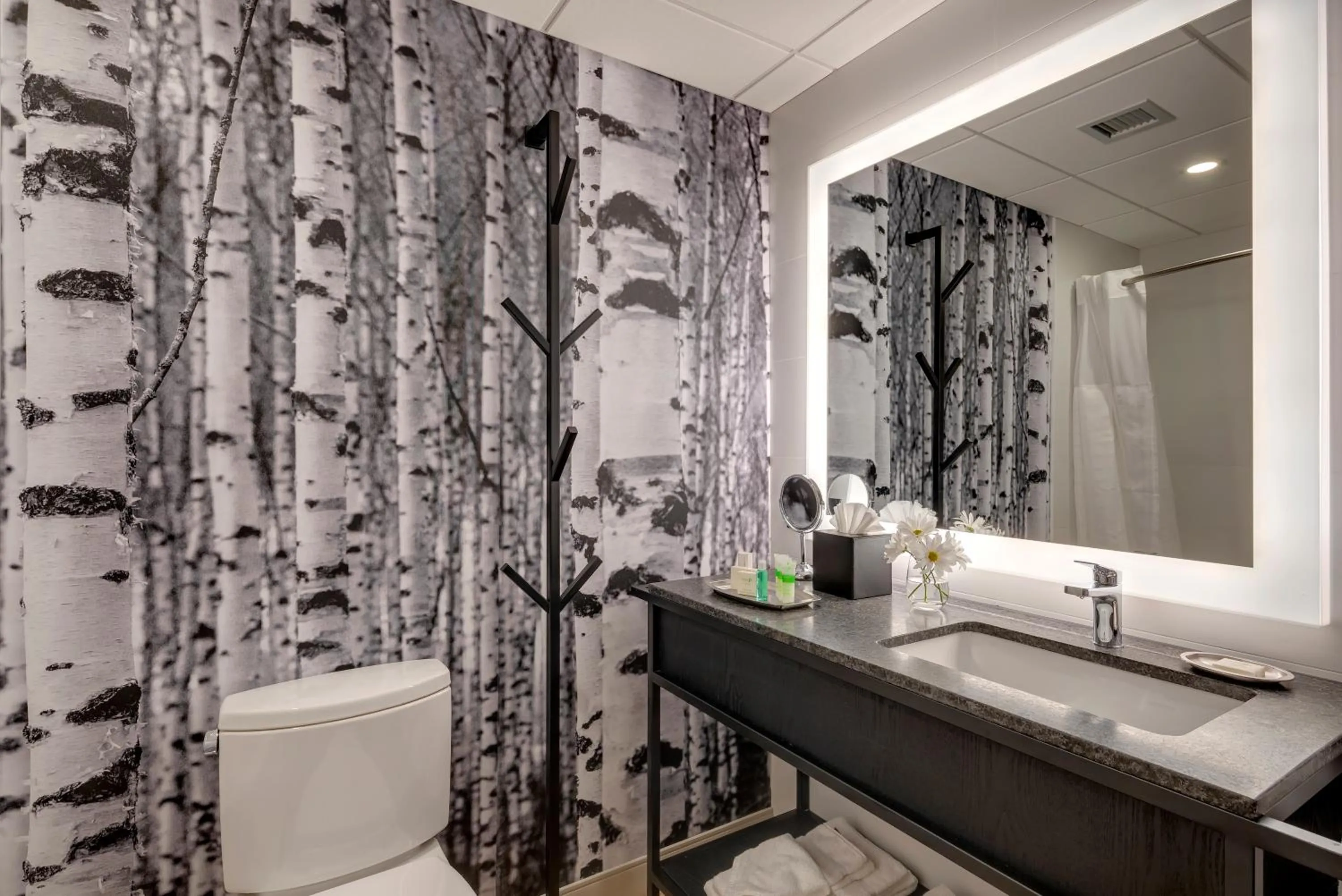 Standard Room, 2 Queen beds, Partial View with Balcony in Peaks Hotel and Suites