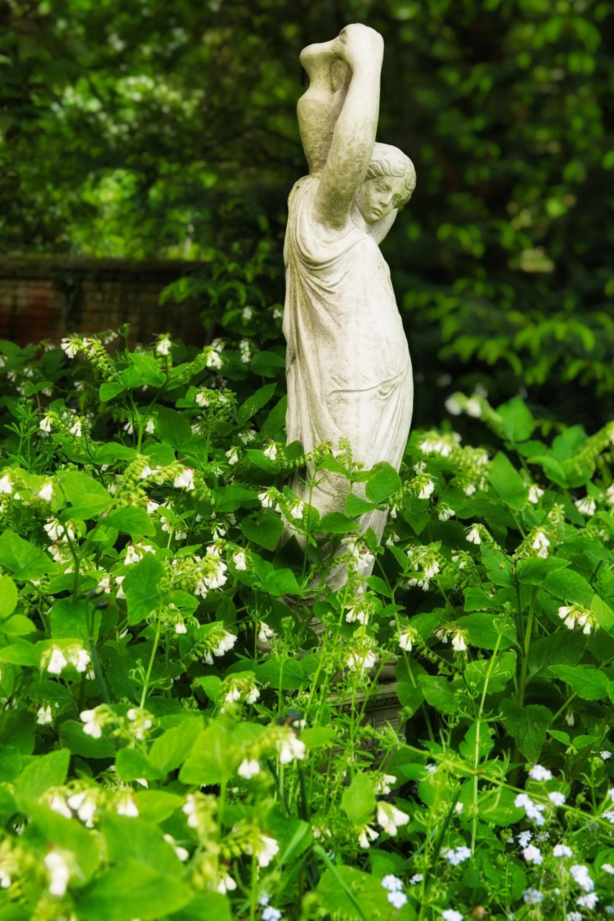 Garden in St Margaret's Hotel