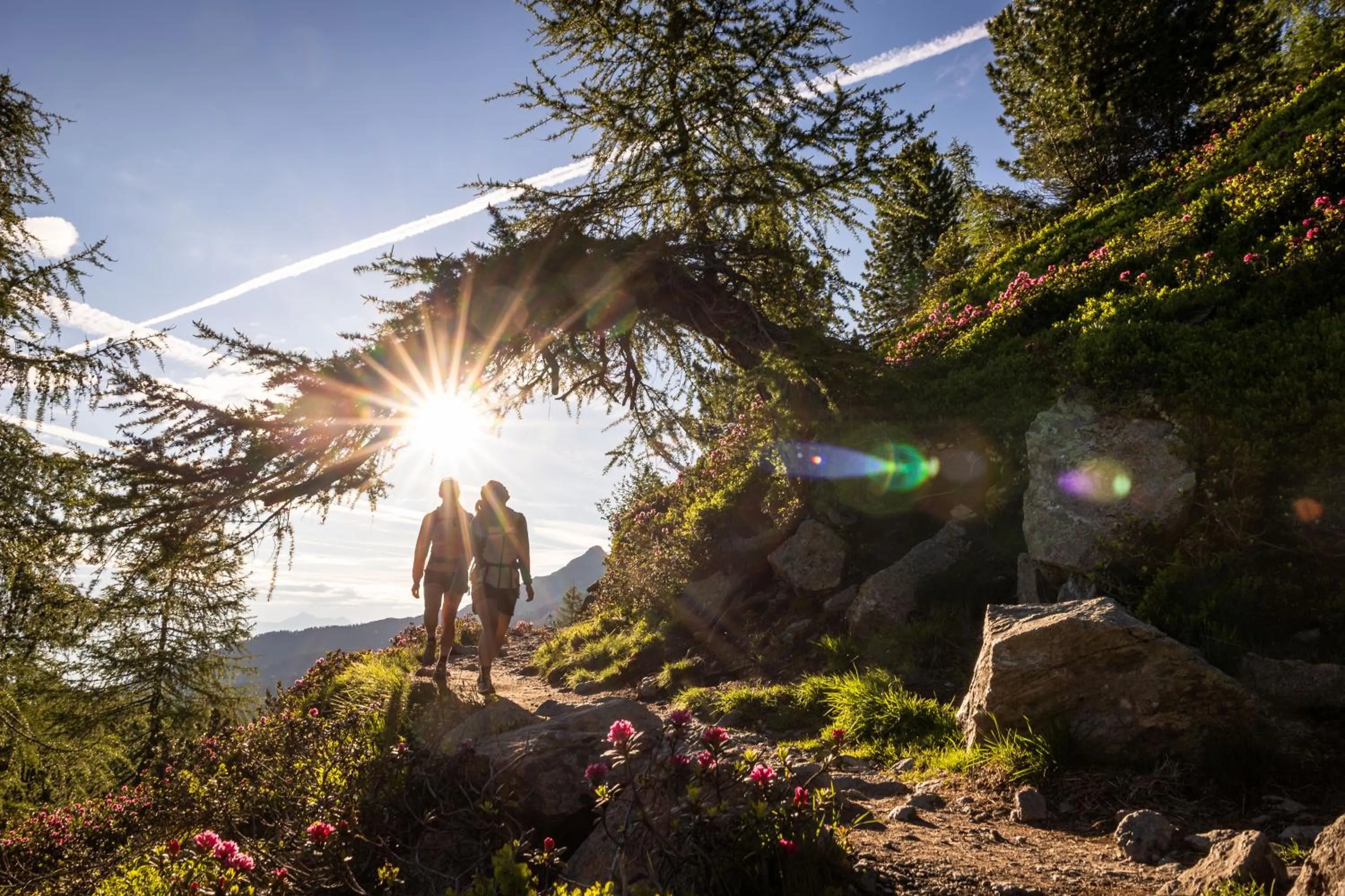 Hiking in BinderS Budget City-Mountain Hotel