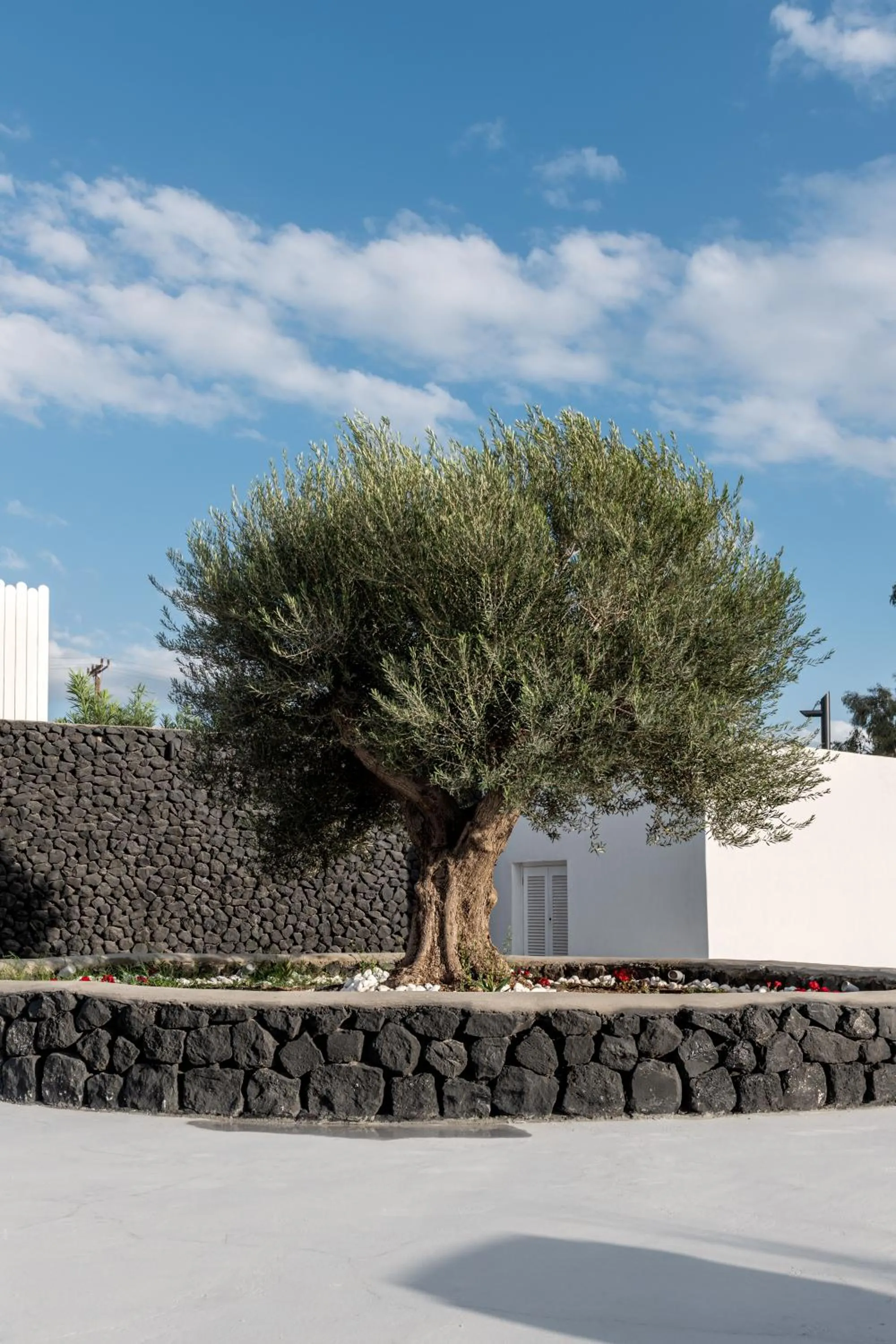 Patio in Santa Irina Luxury Sunny Lofts