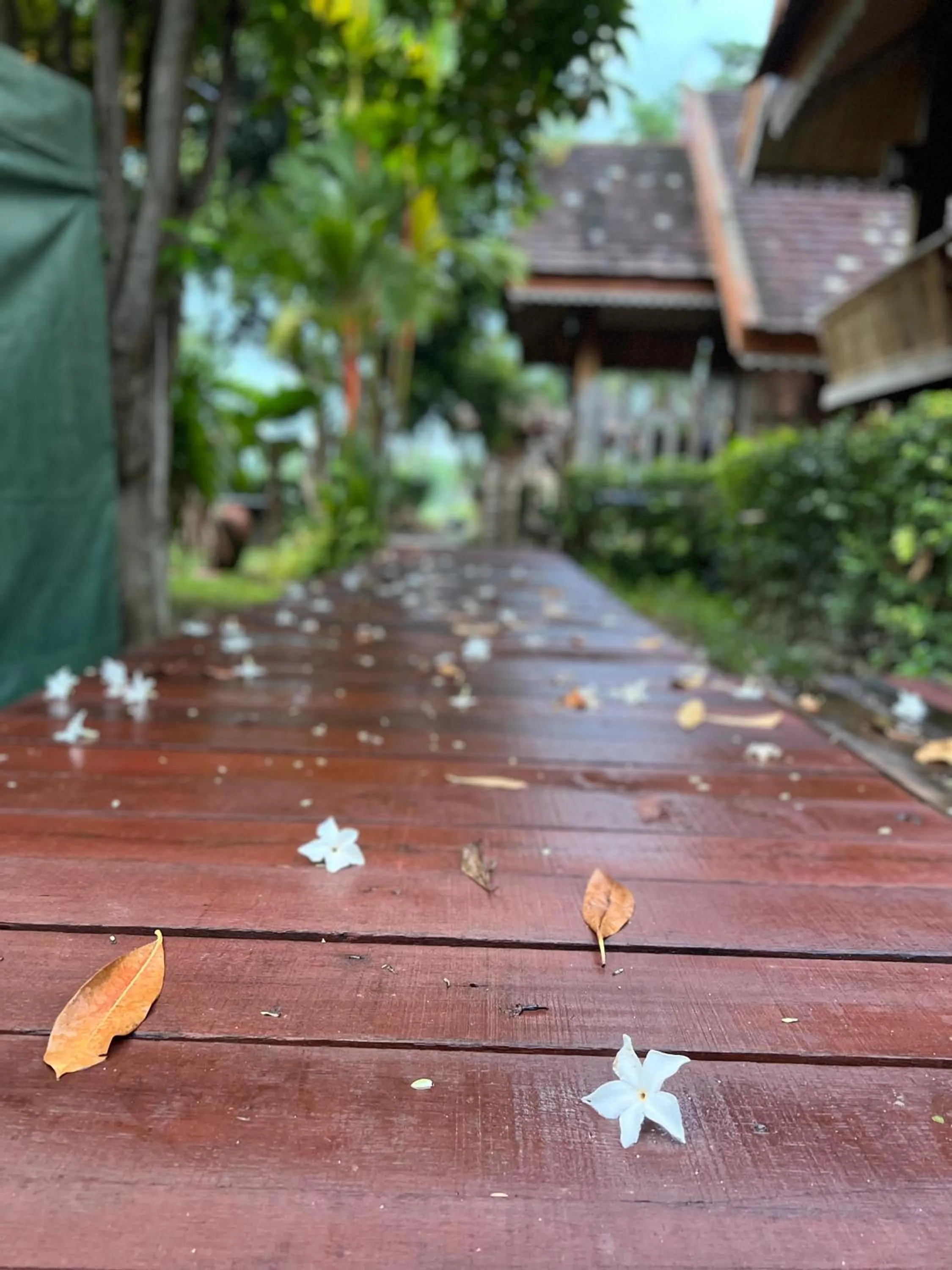 Garden in Siri Lagoona Resort