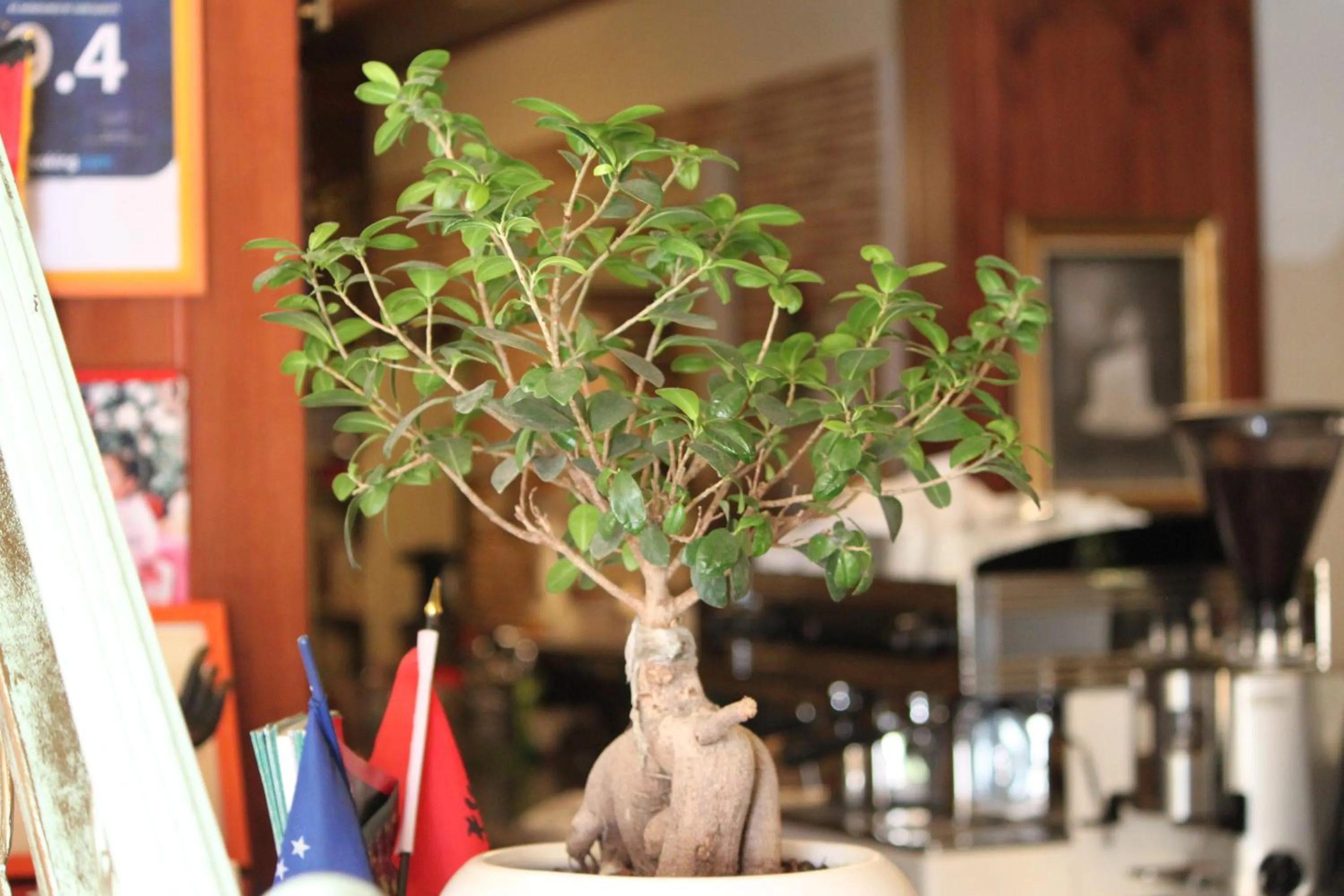 Decorative detail in 2 KITARRAT Boutique Hotel & SPA