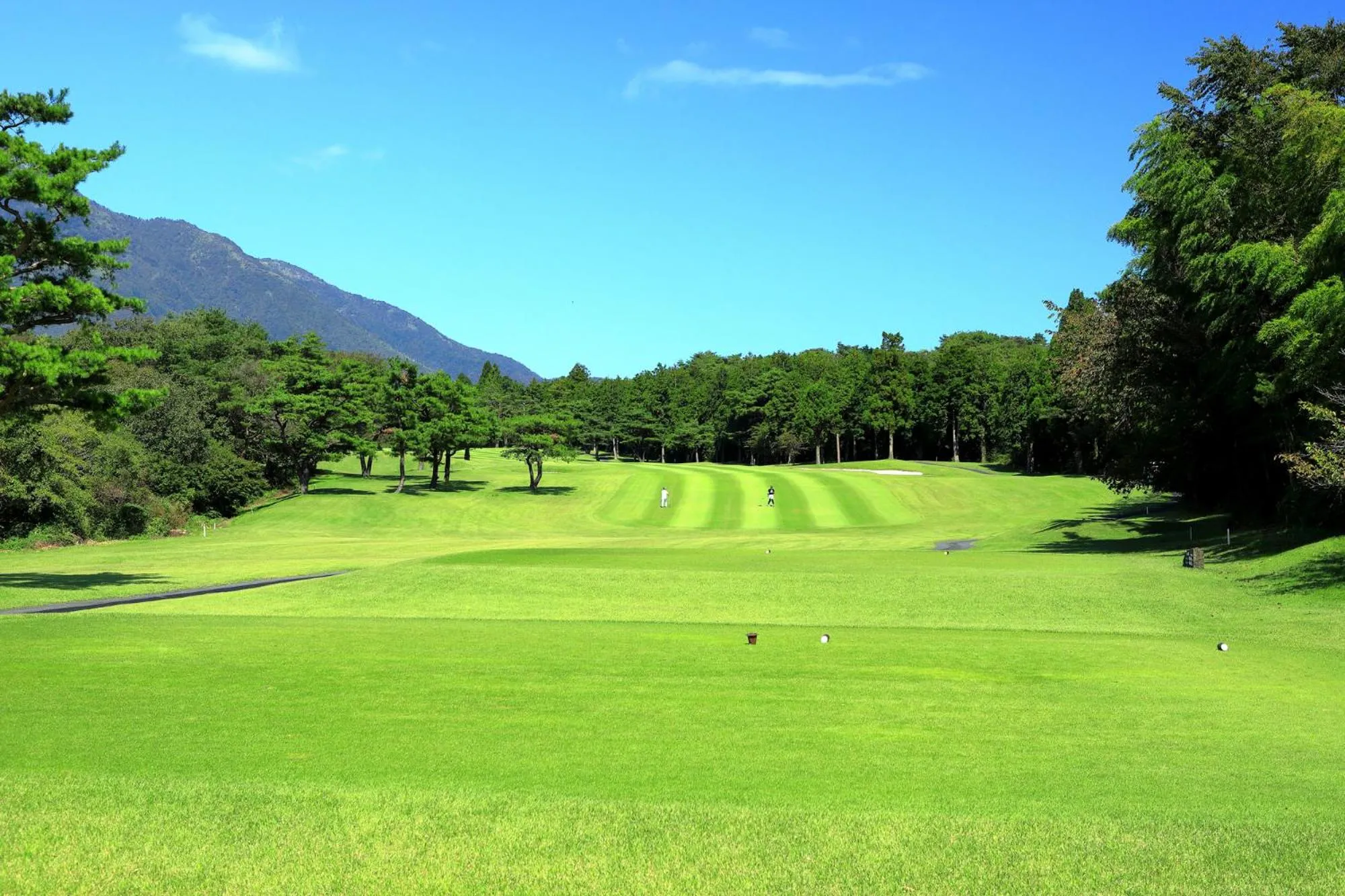 Nearby landmark in Tabist Kameyama Daiichi Hotel