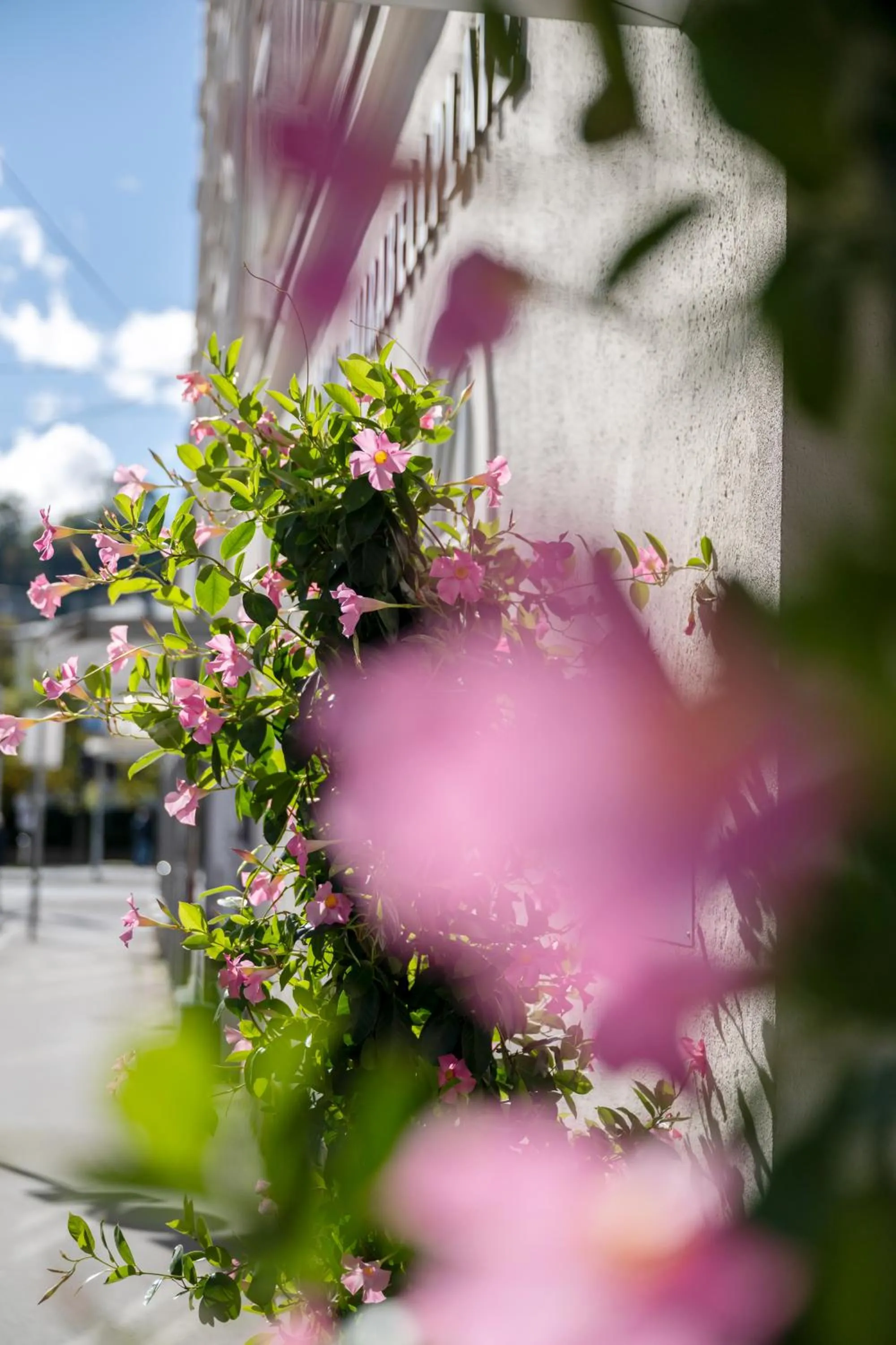 Facade/entrance in Hotel am Mirabellplatz