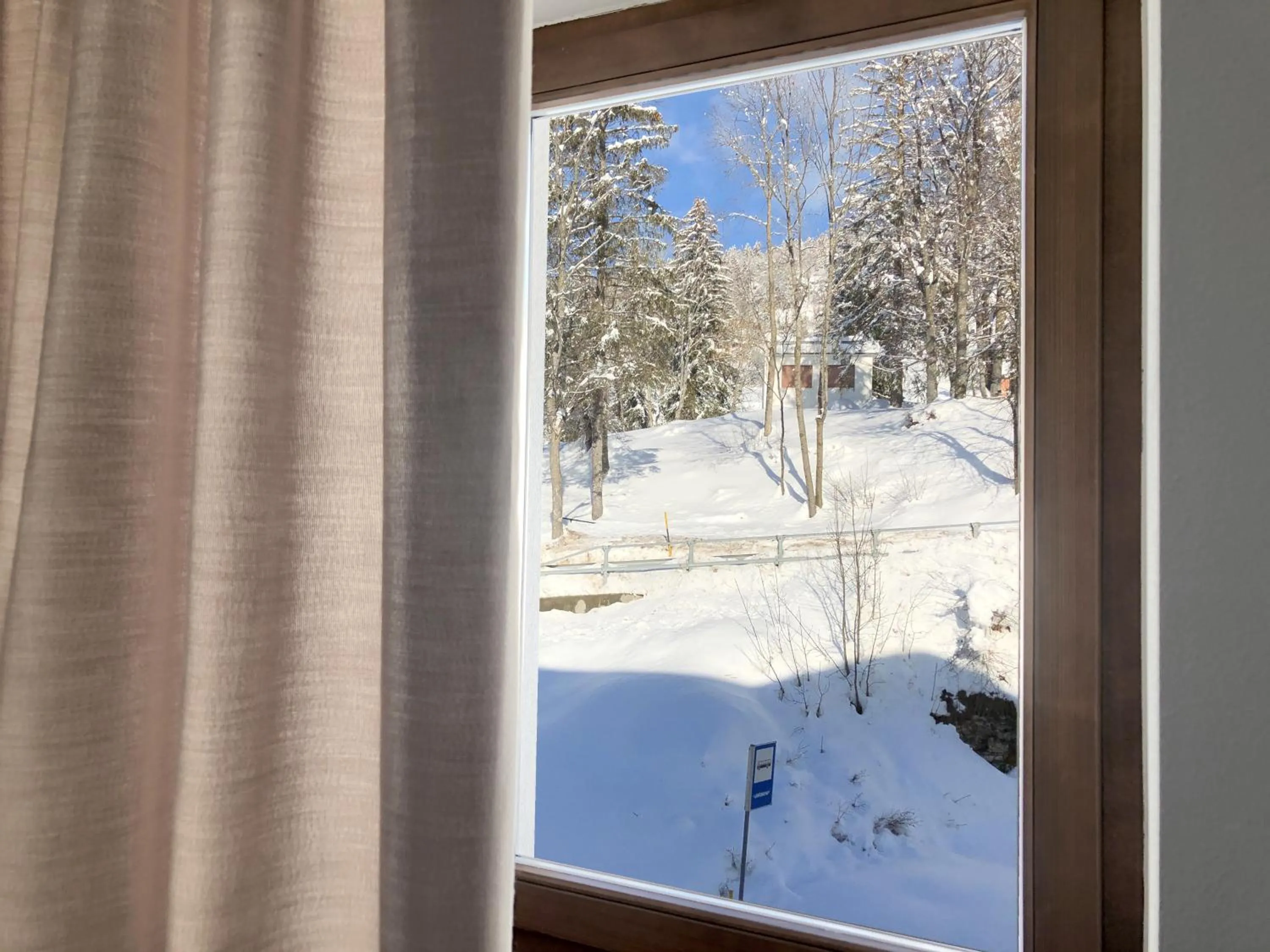 Winter in Residence Aurora