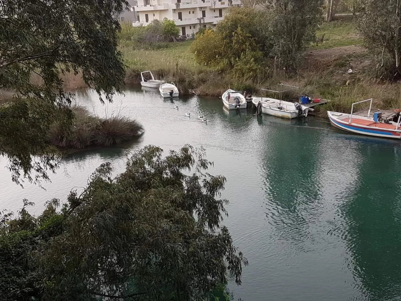 Property building in Drosia Hotel