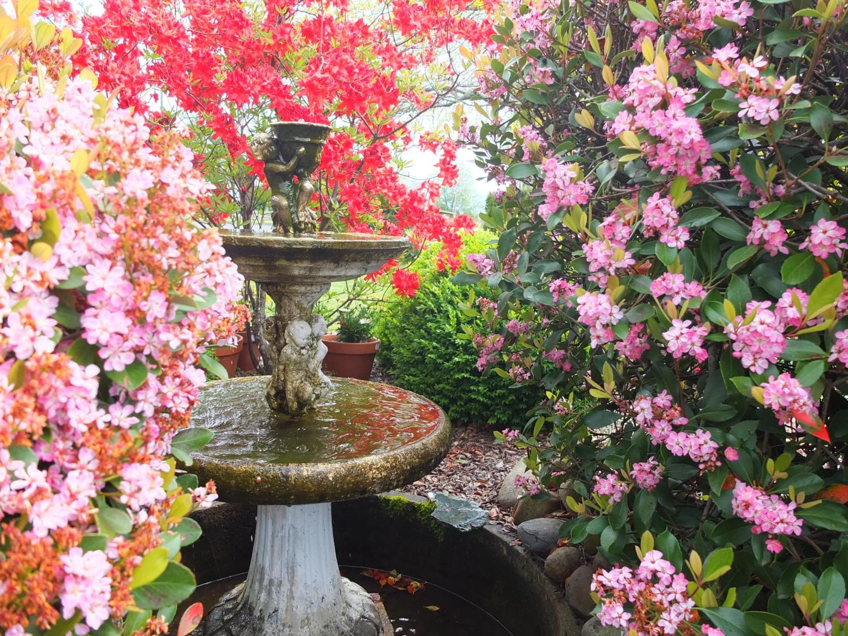 Colonial Court Motel