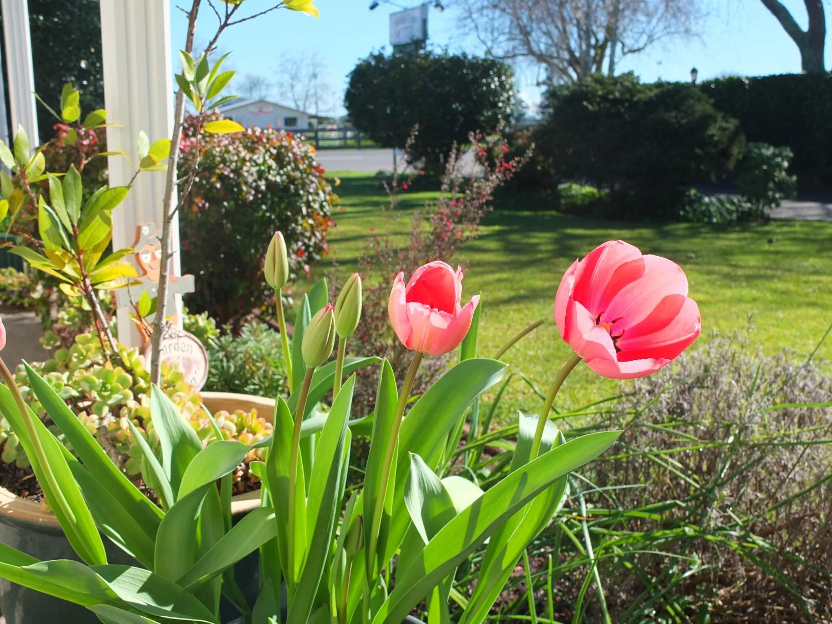 Colonial Court Motel