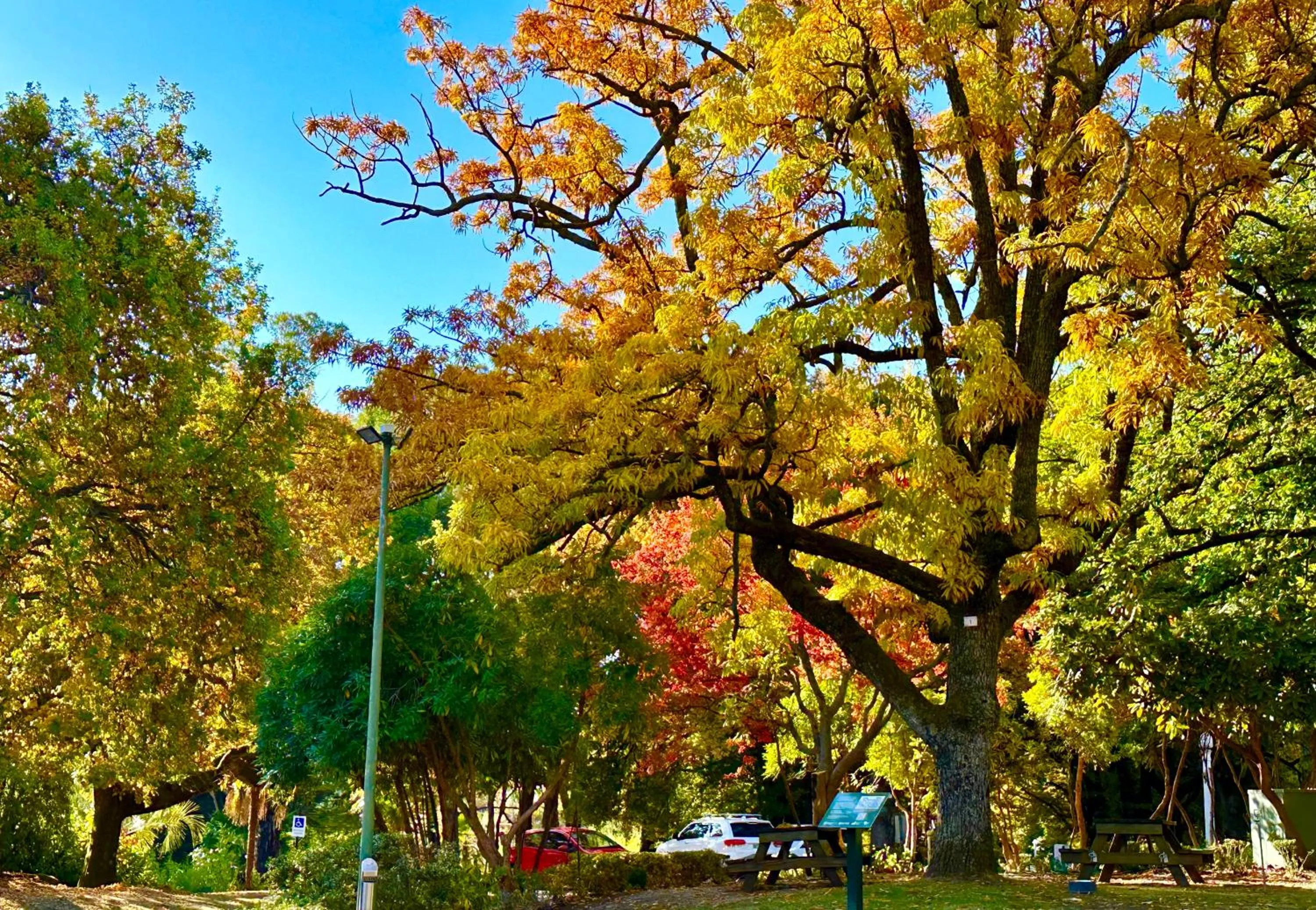 The Grand Oaks Resort