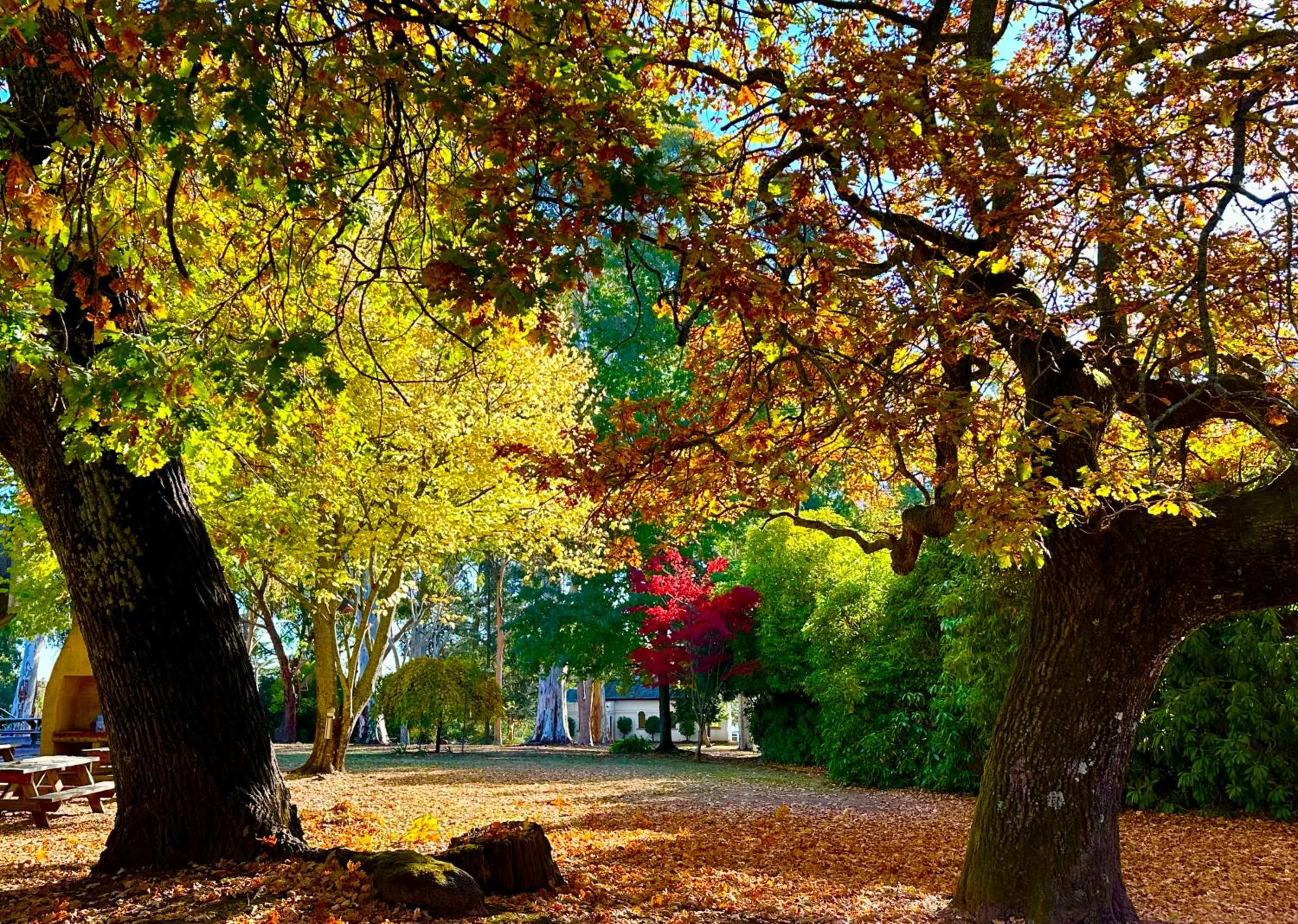 The Grand Oaks Resort