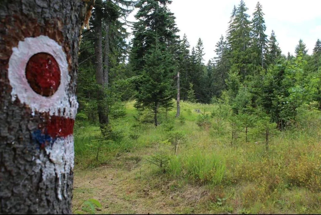 Neighbourhood in Casa di Pino EcoLodge Hotel