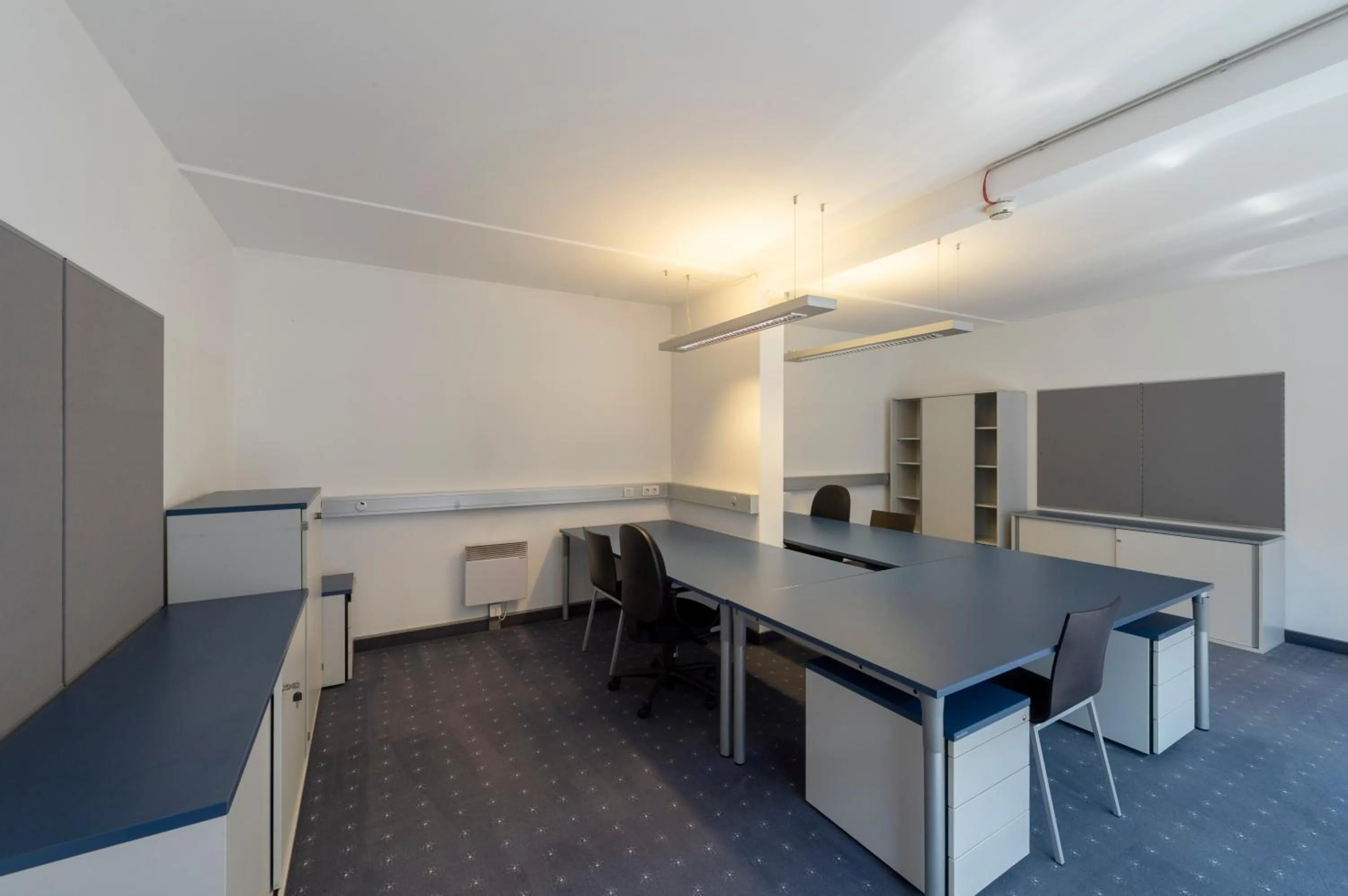 Other in Orange Wings Krems