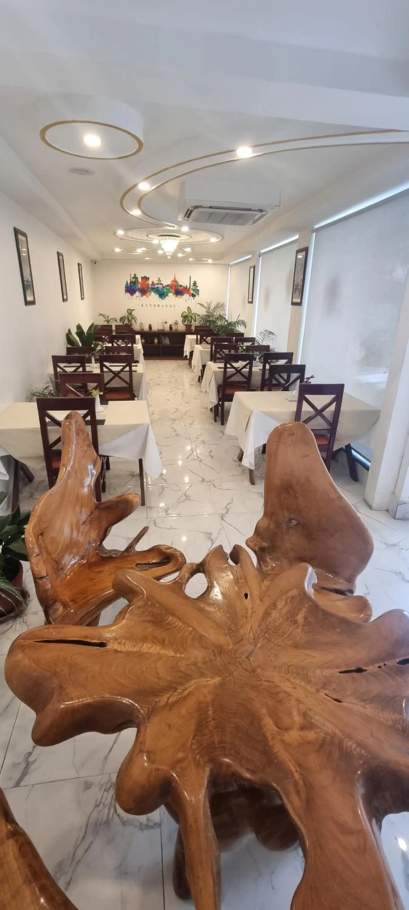 Restaurant/places to eat in Durbar Hotel & Residence