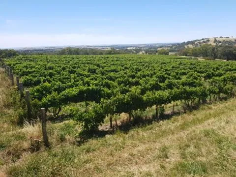 Natural landscape in The Zin Loft