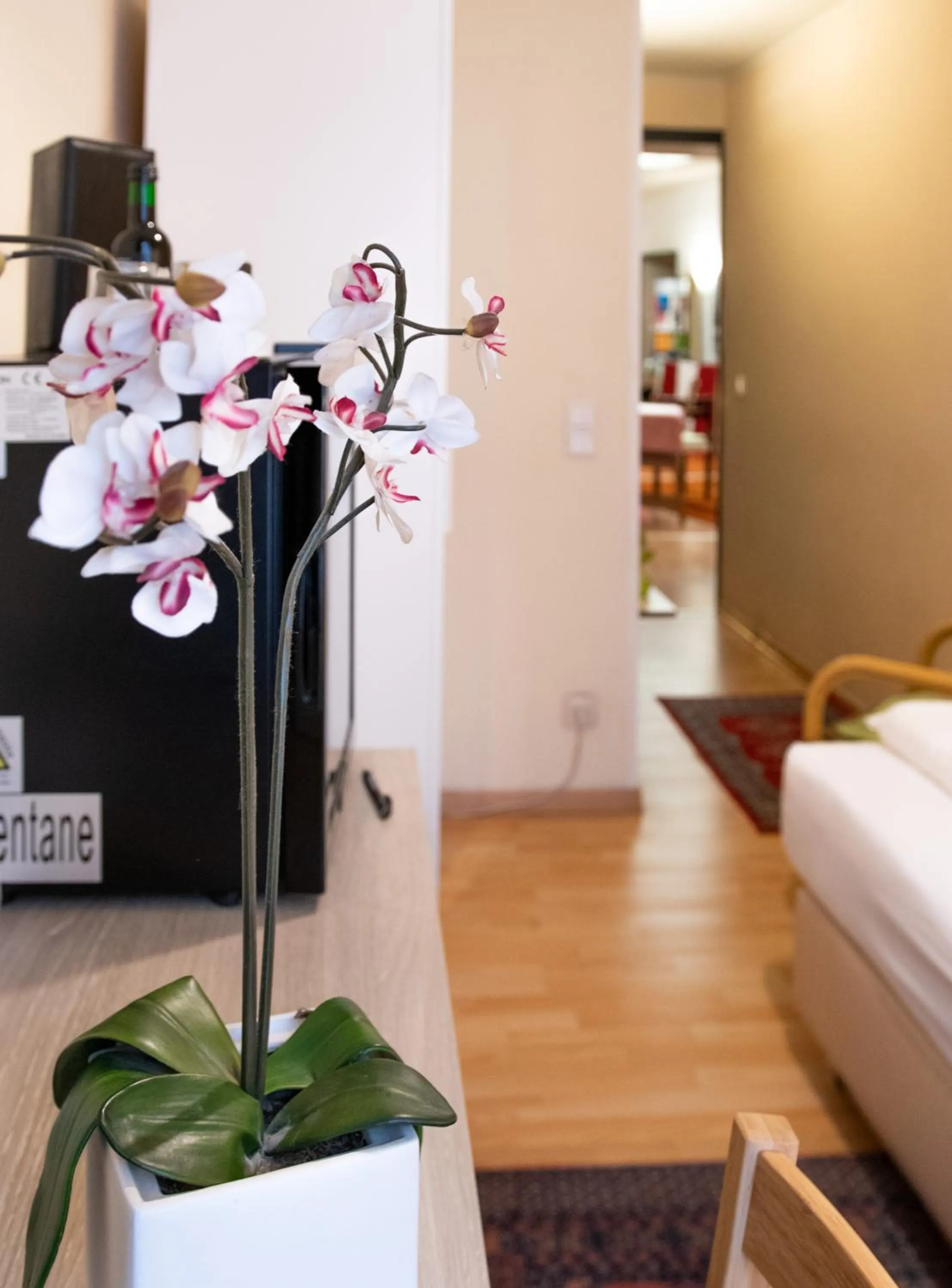 TV and multimedia, Bed in Pension Hotel Mariahilf