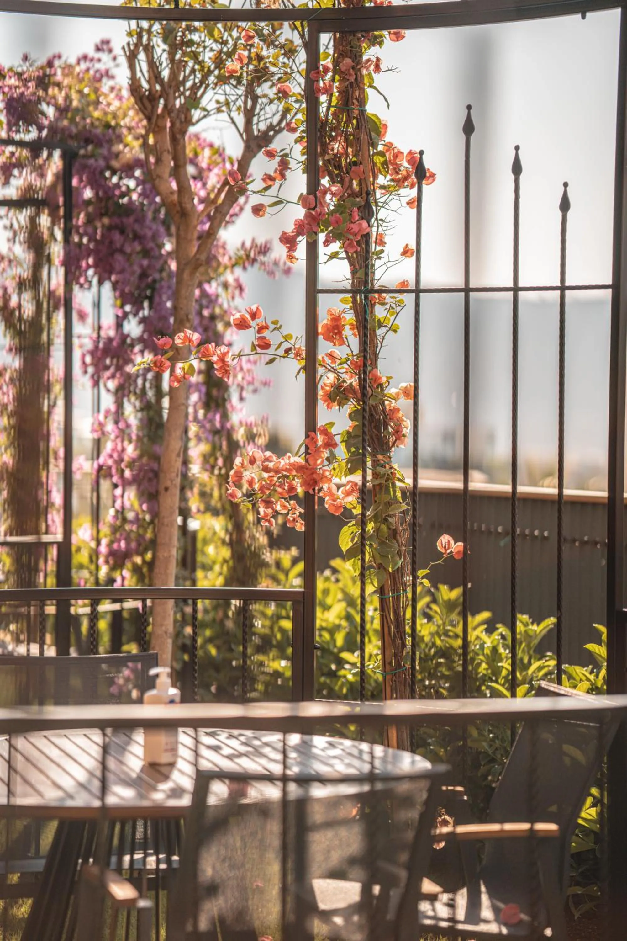 Restaurant/places to eat in The Norm Collection Door'a Bodrum