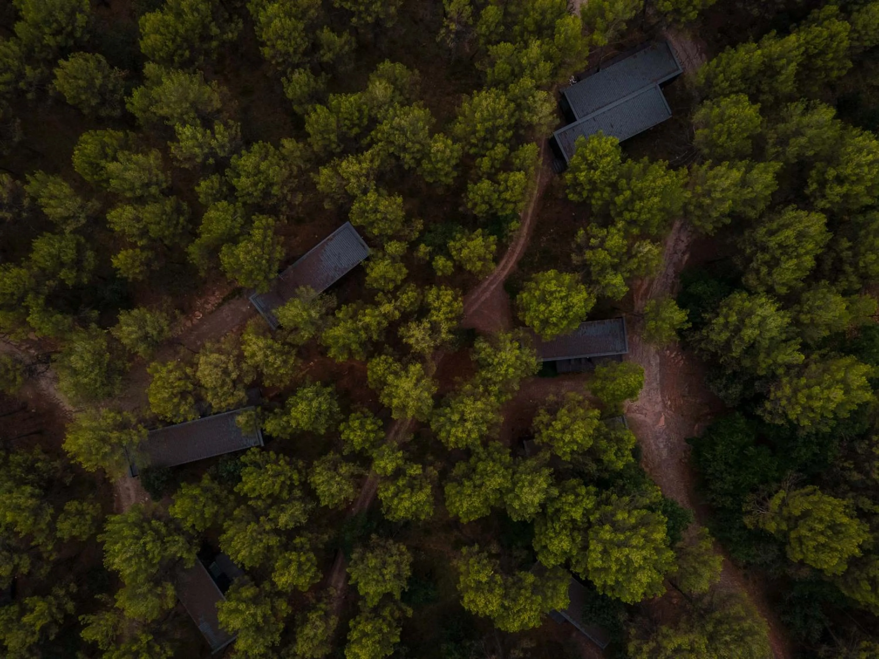 Property building in Les Cabanes de l'Oller del Mas