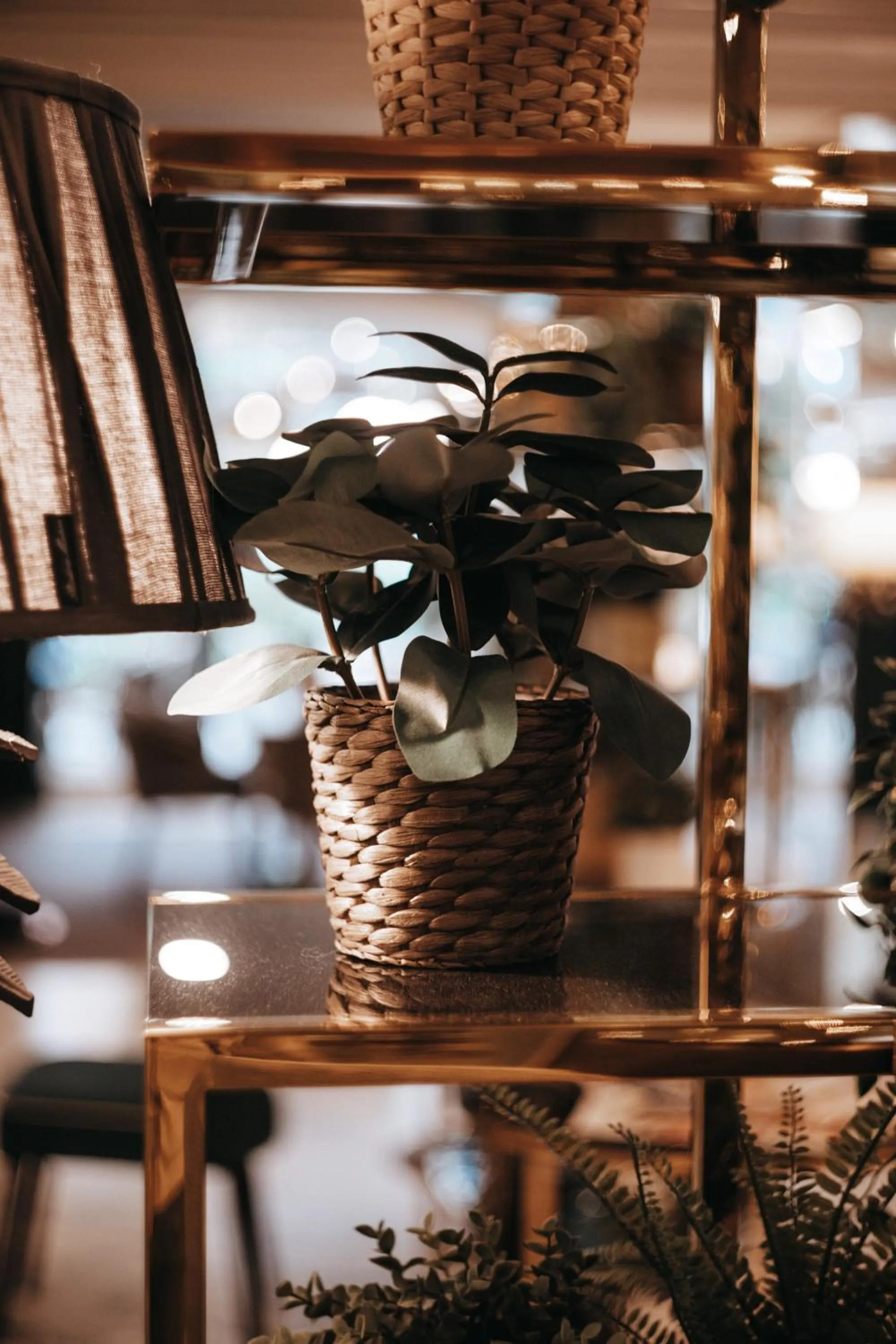 Lobby or reception in Eventhotel Pyramide