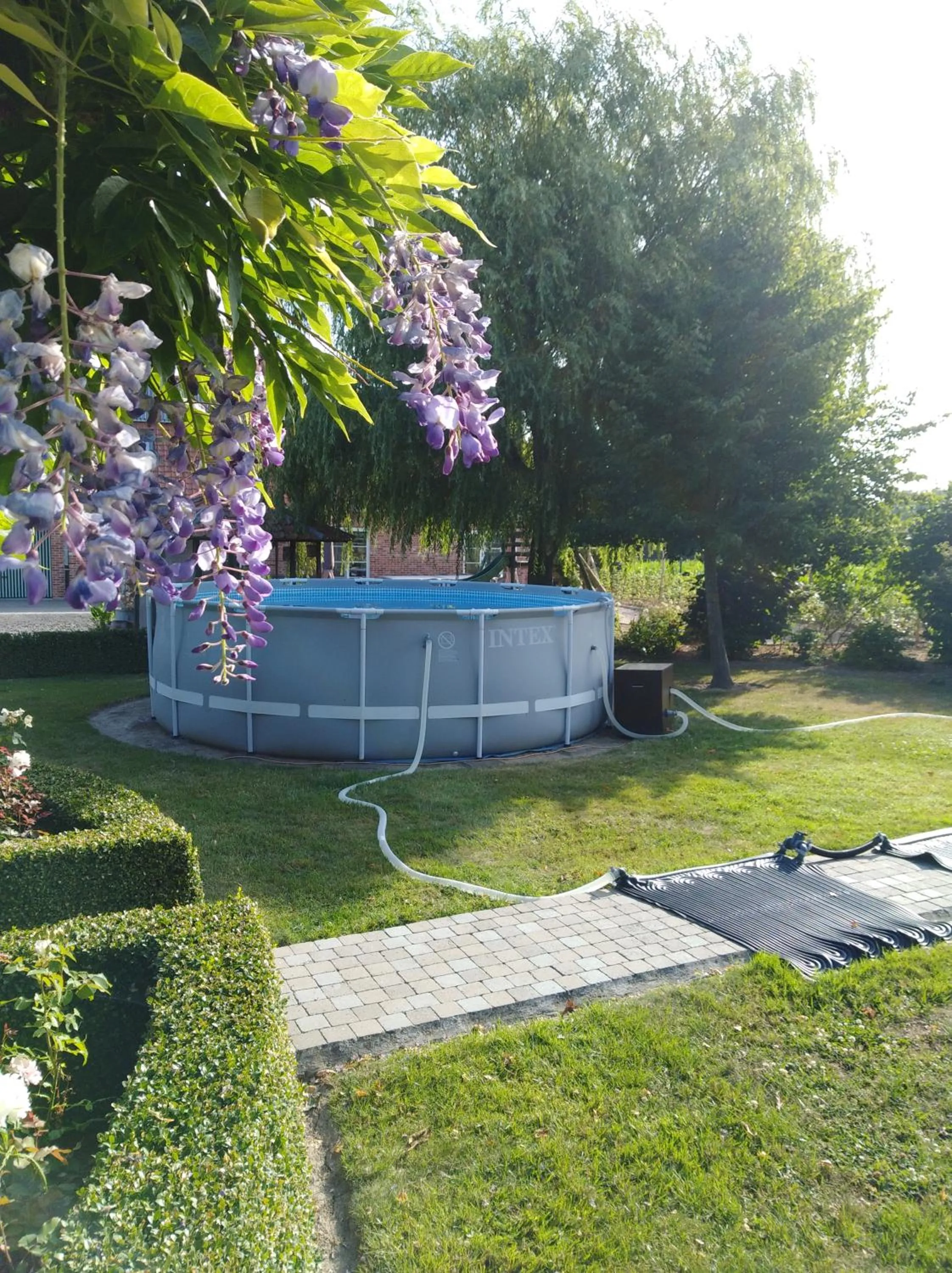 Swimming pool in 't Hooghe Licht Bed & Breakfast